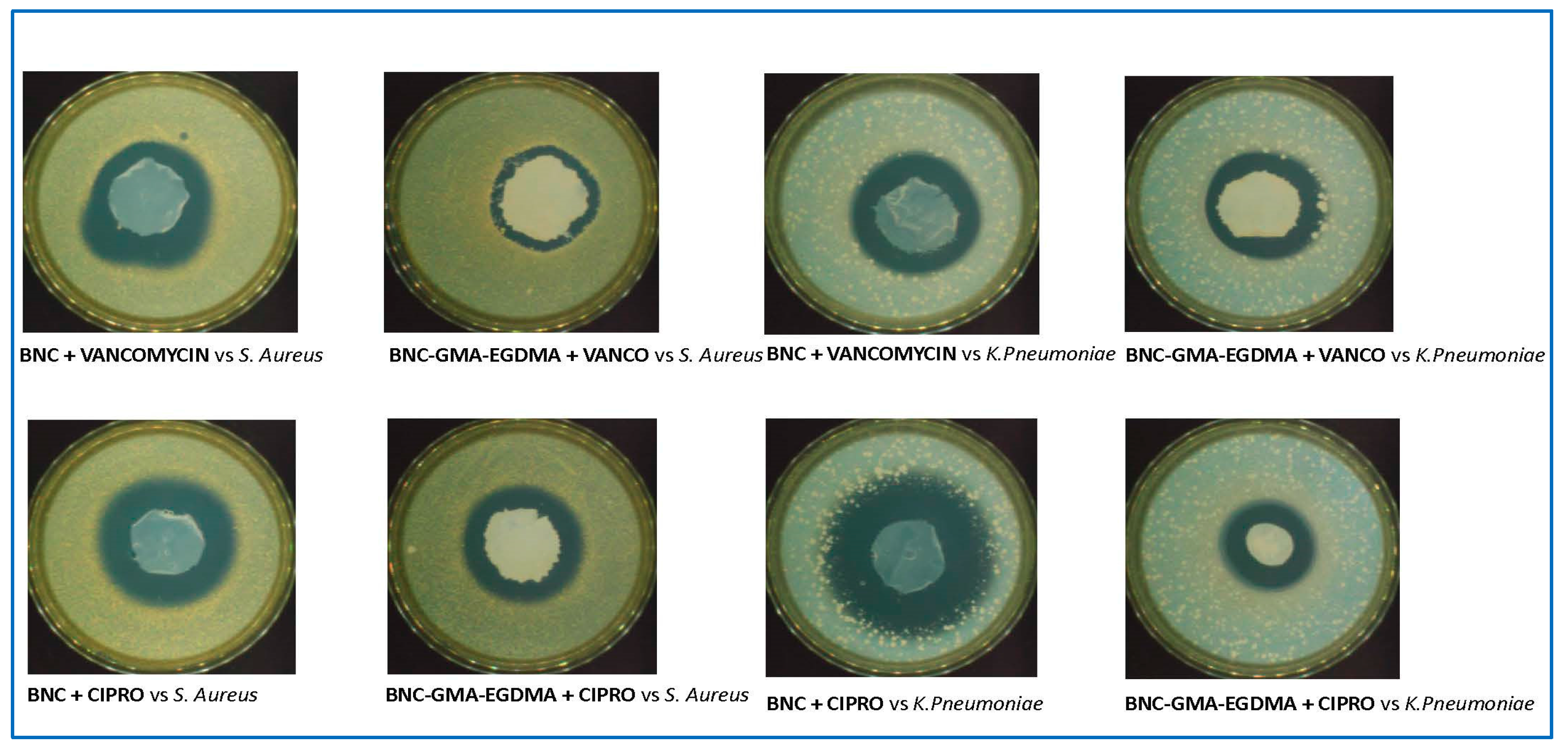 Nanomaterials 09 01668 g021 550