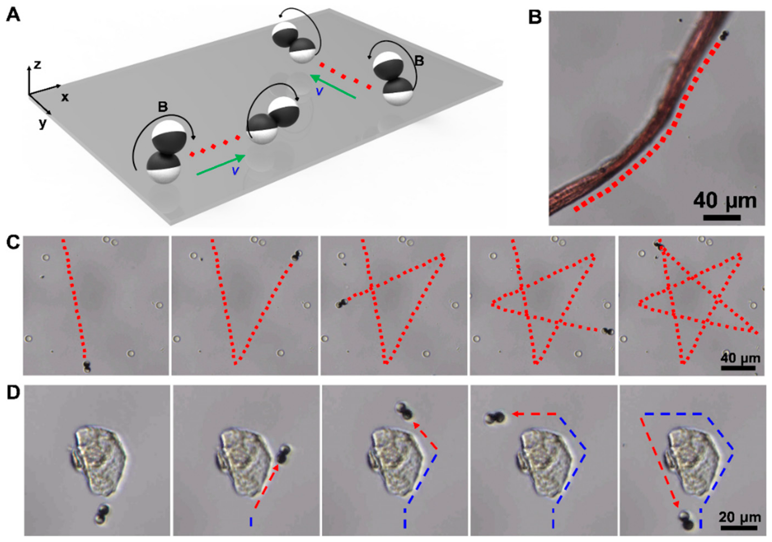 Nanomaterials 09 01672 g005 Nanomaterials 09 01672 g005