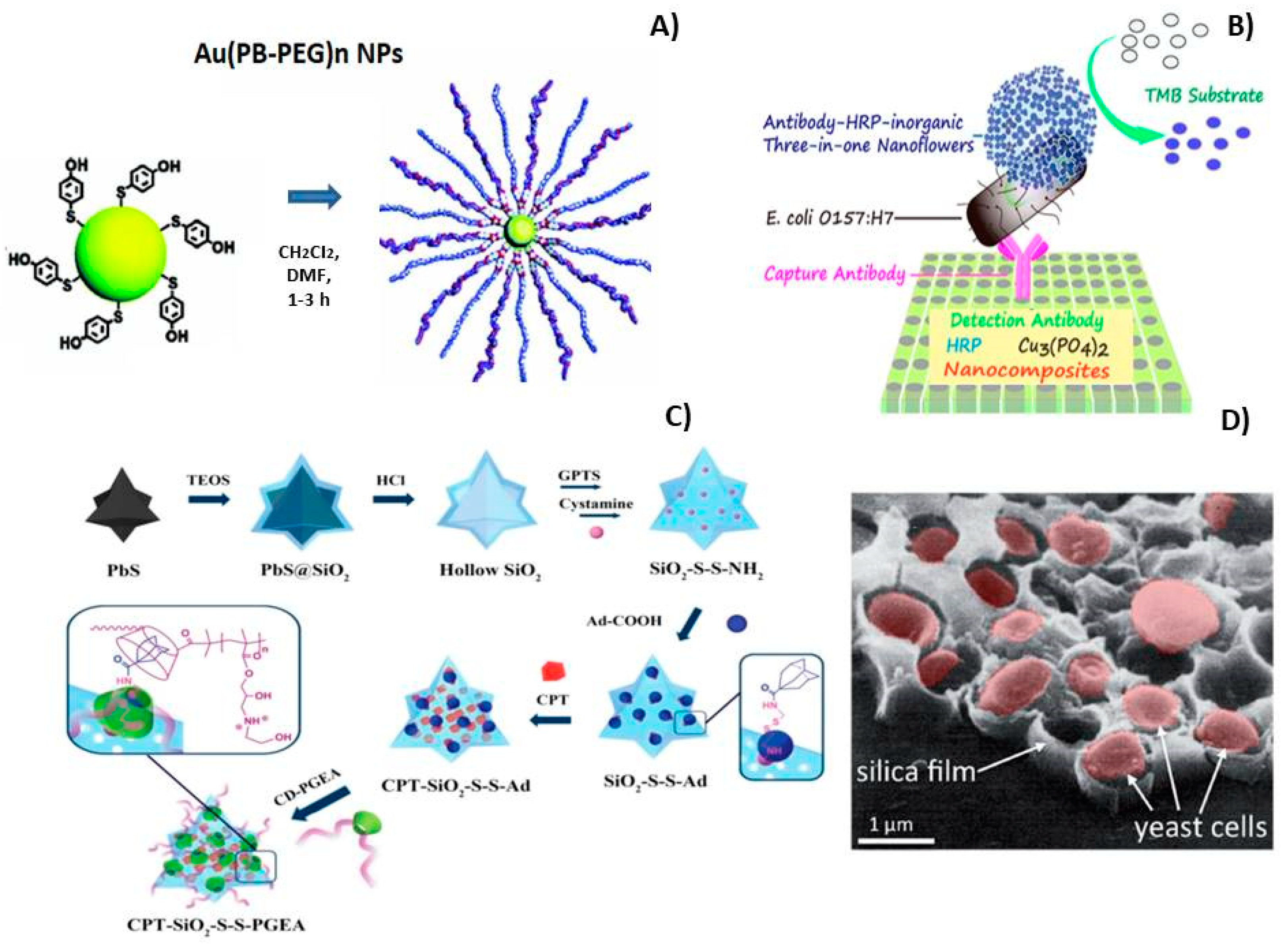 Nanomaterials 09 01673 g005