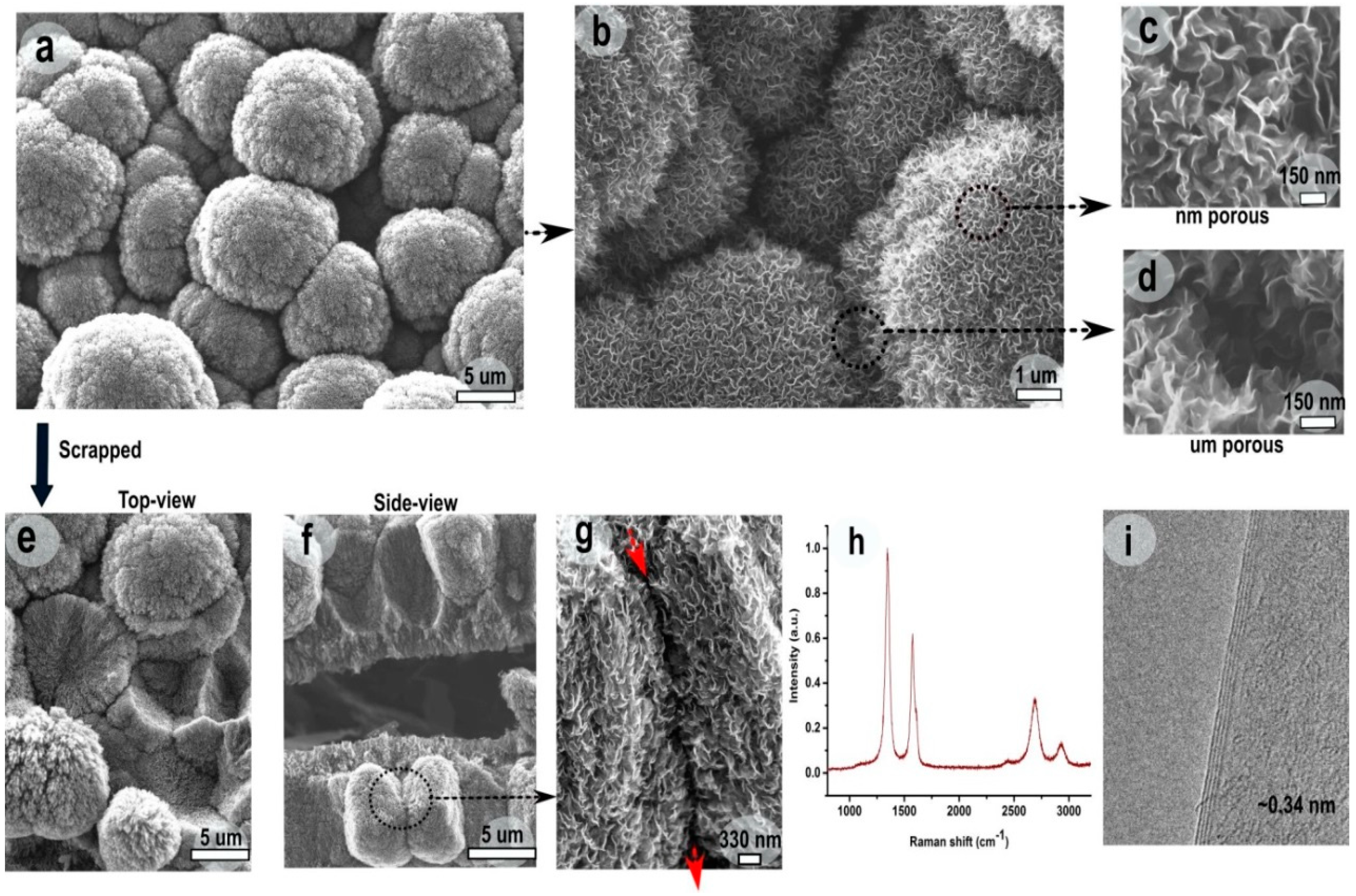 Nanomaterials 09 01679 g002 550