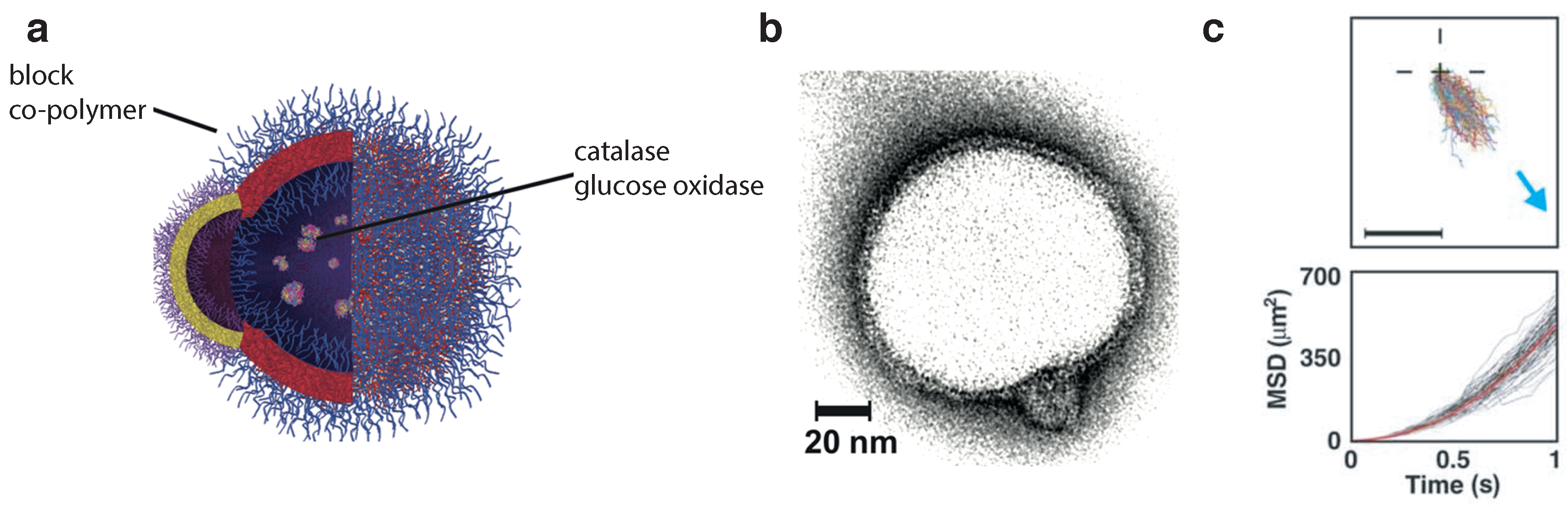 Nanomaterials 09 01680 g003