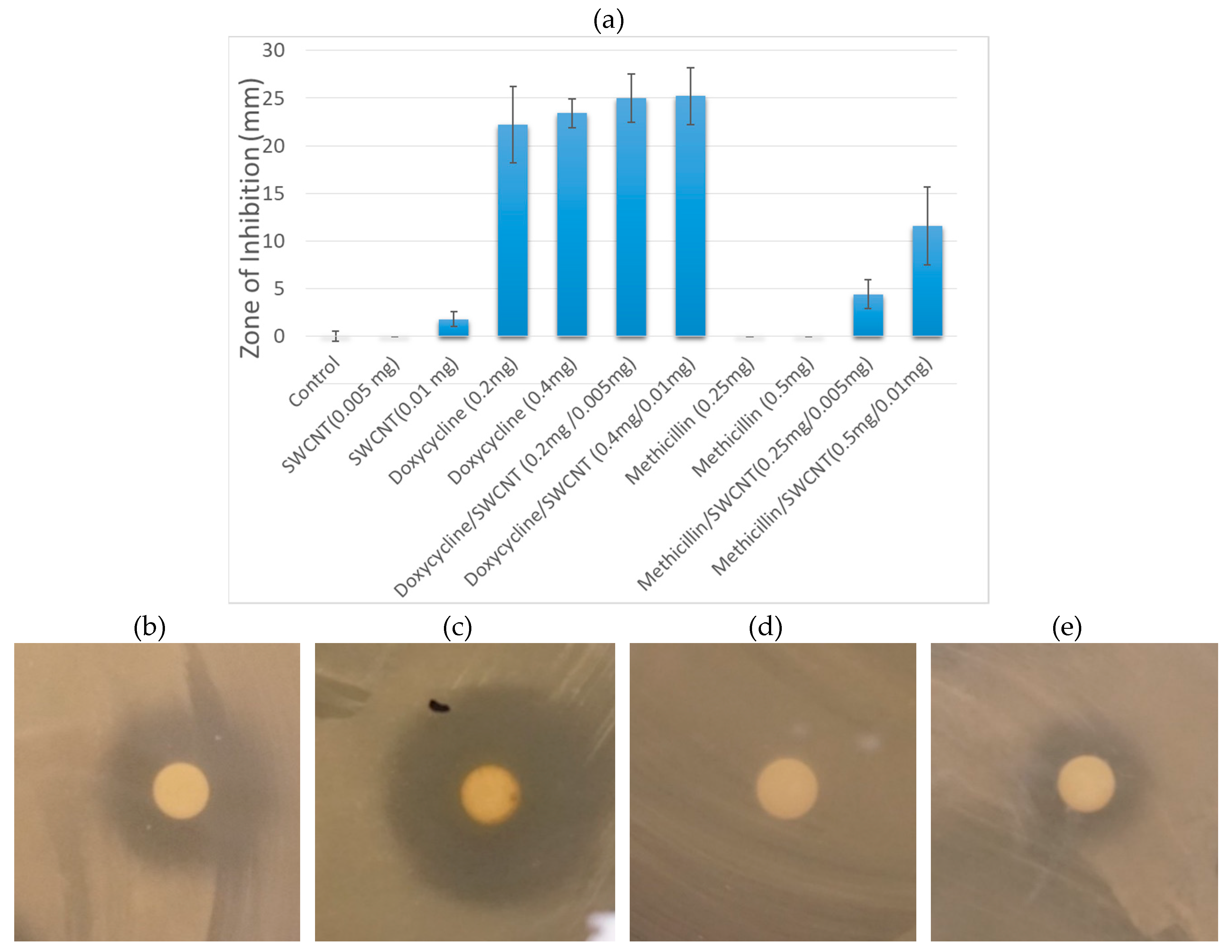 Nanomaterials 09 01685 g001