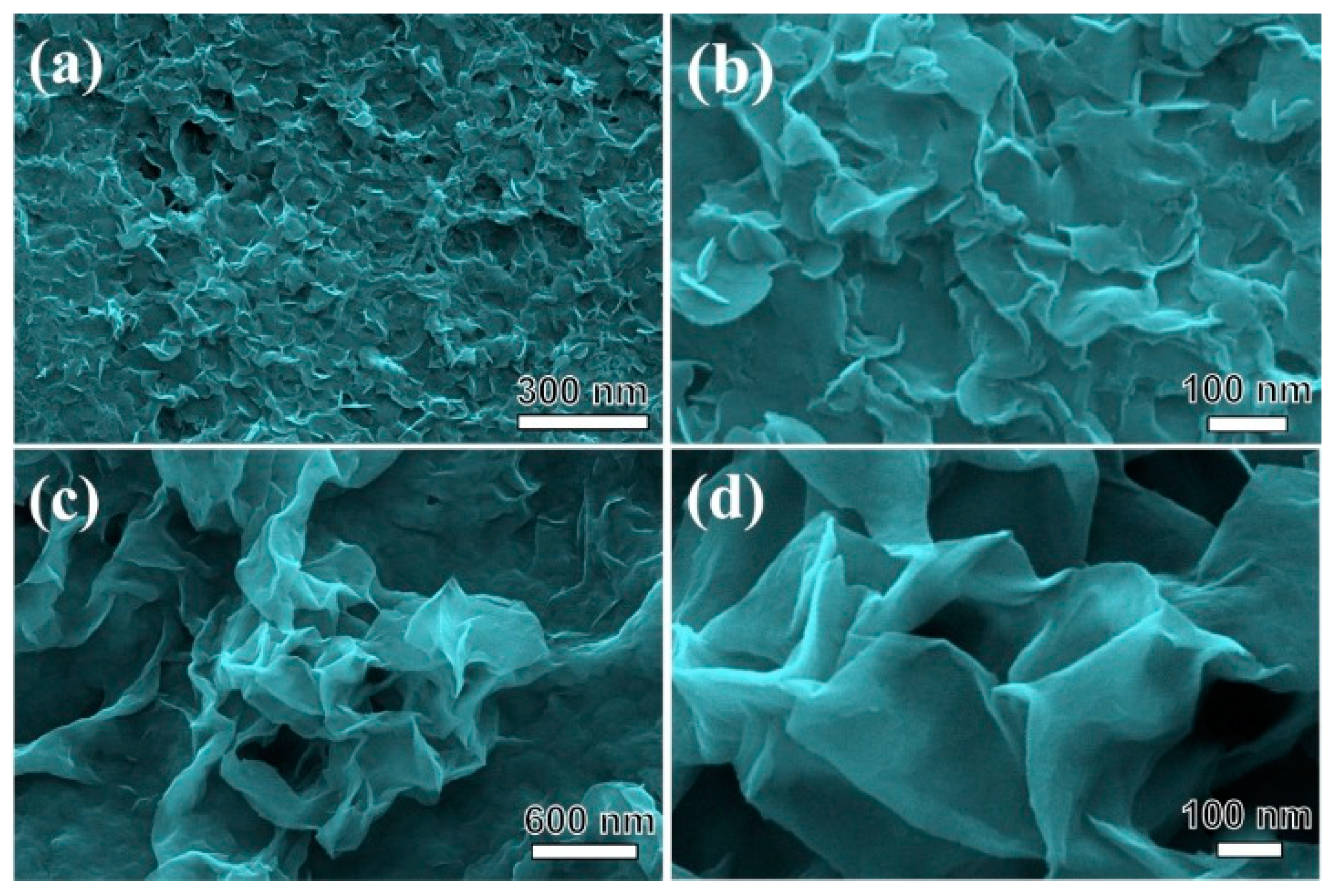 Nanomaterials 09 01686 g003 Nanomaterials 09 01686 g003