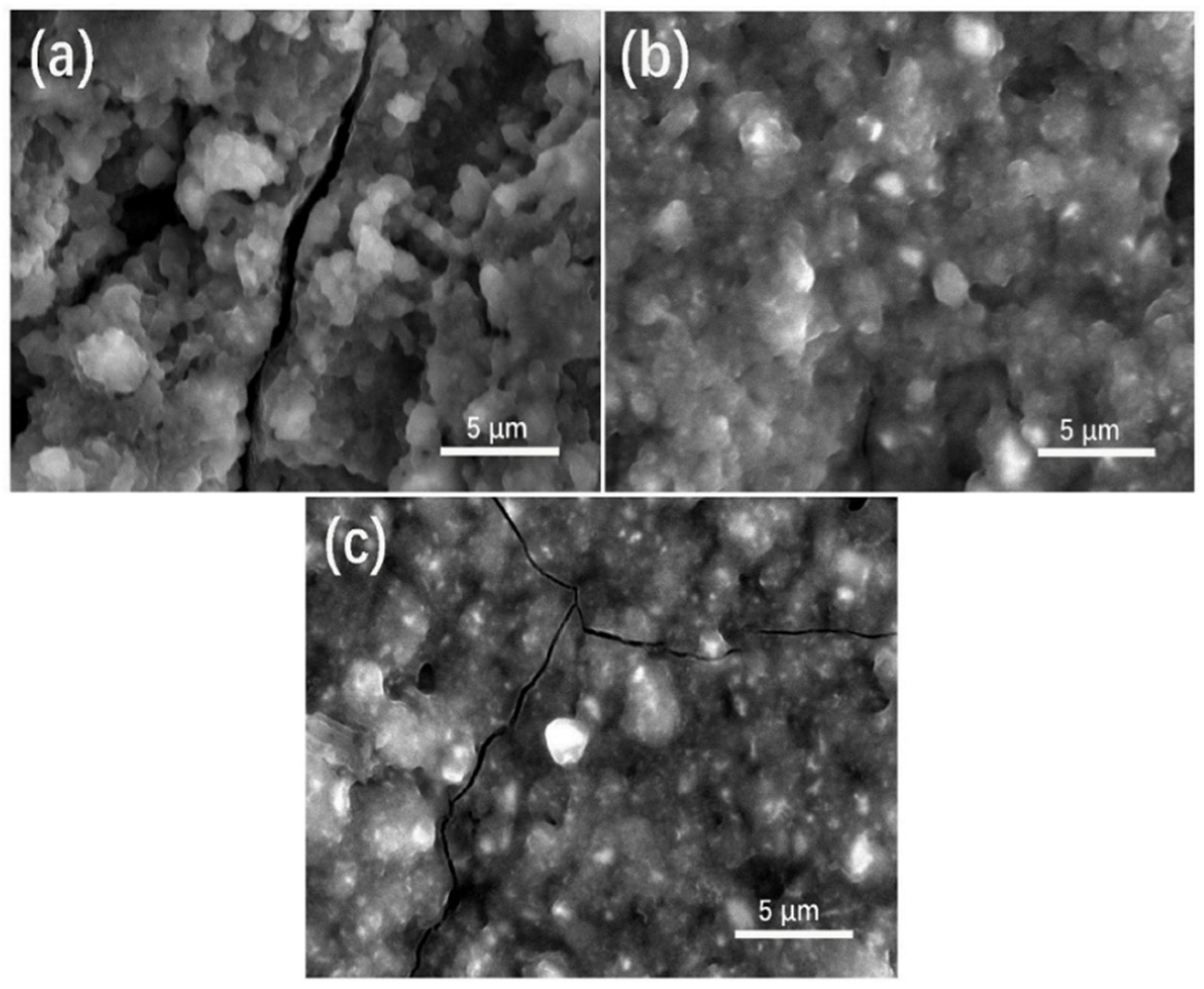 Nanomaterials 09 01689 g006