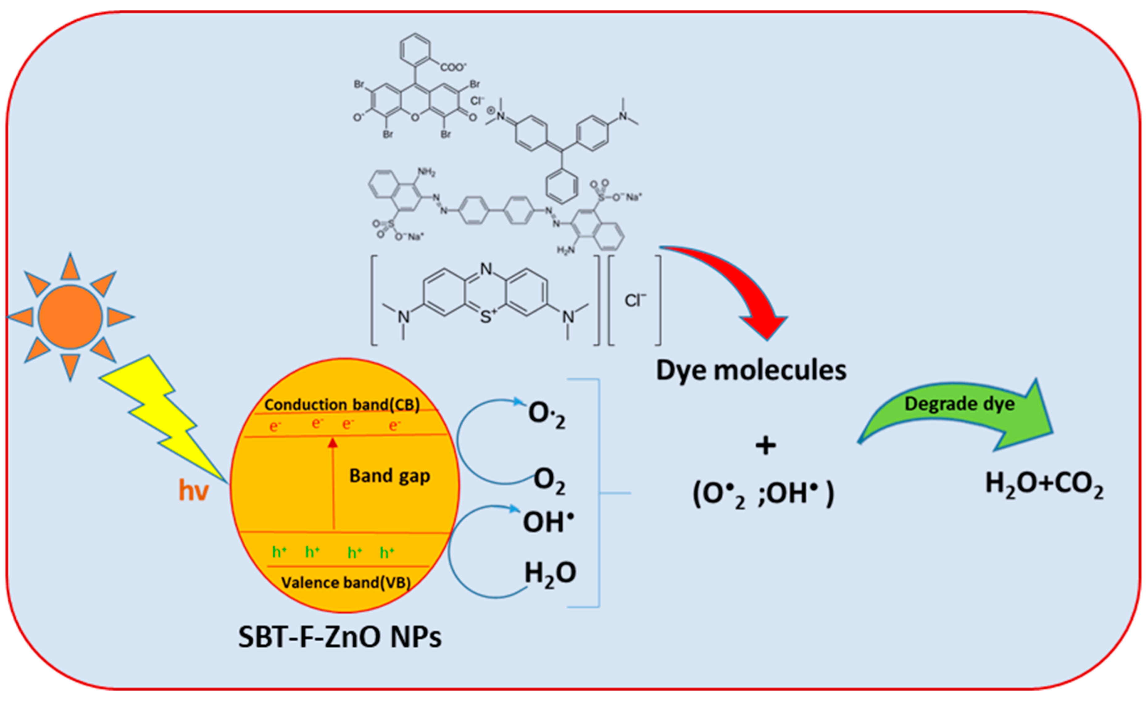 Nanomaterials 09 01692 g012
