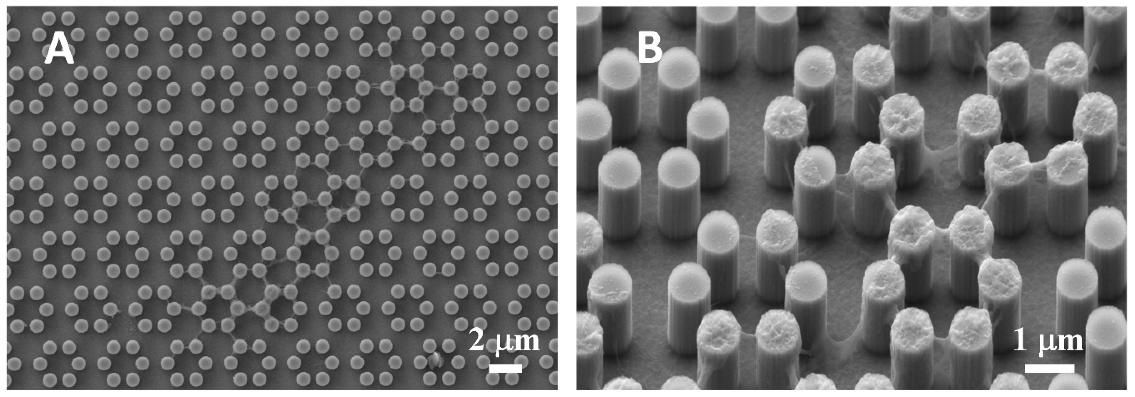 Nanomaterials 09 01701 g002 Nanomaterials 09 01701 g002