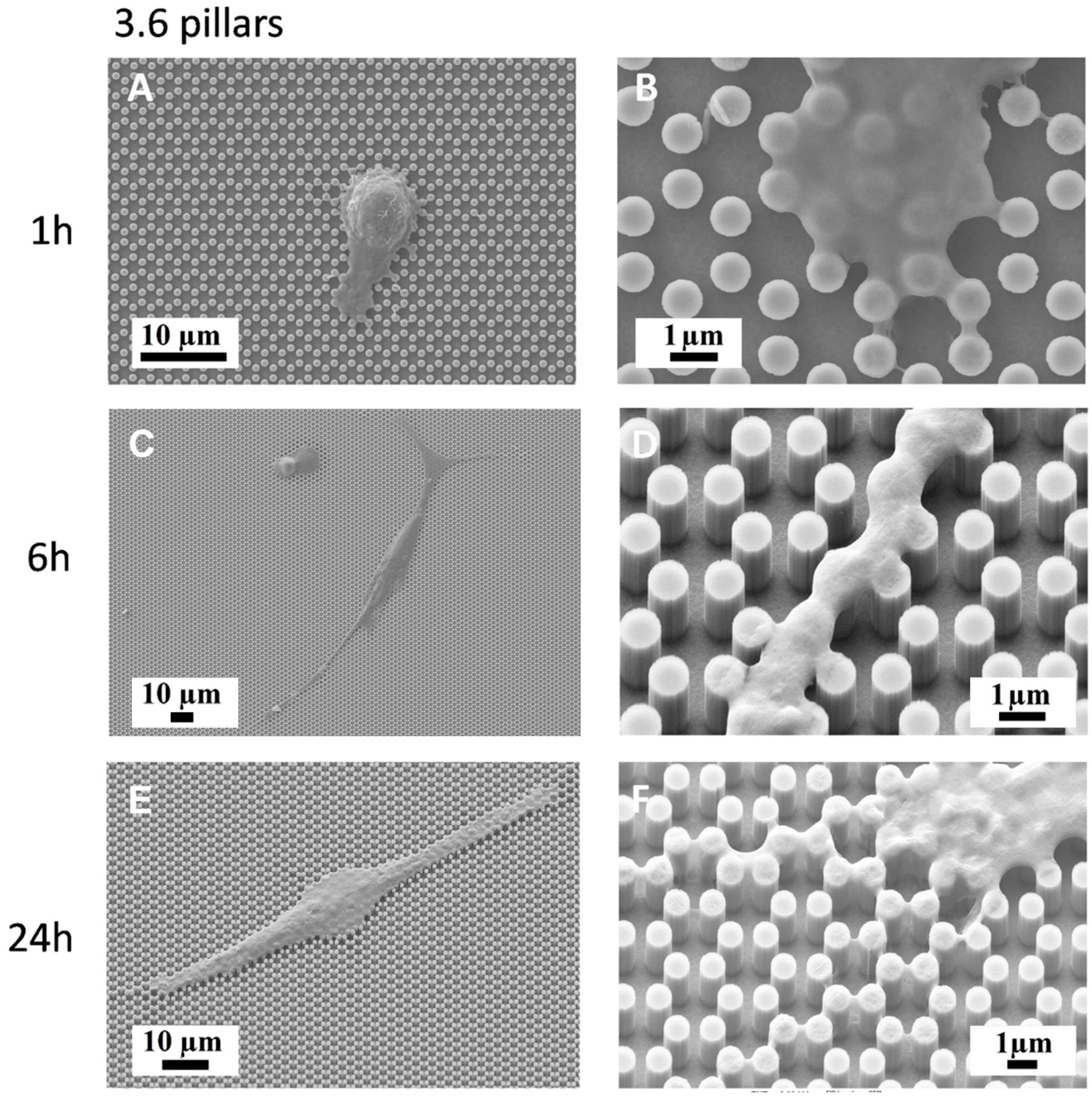 Nanomaterials 09 01701 g003 Nanomaterials 09 01701 g003