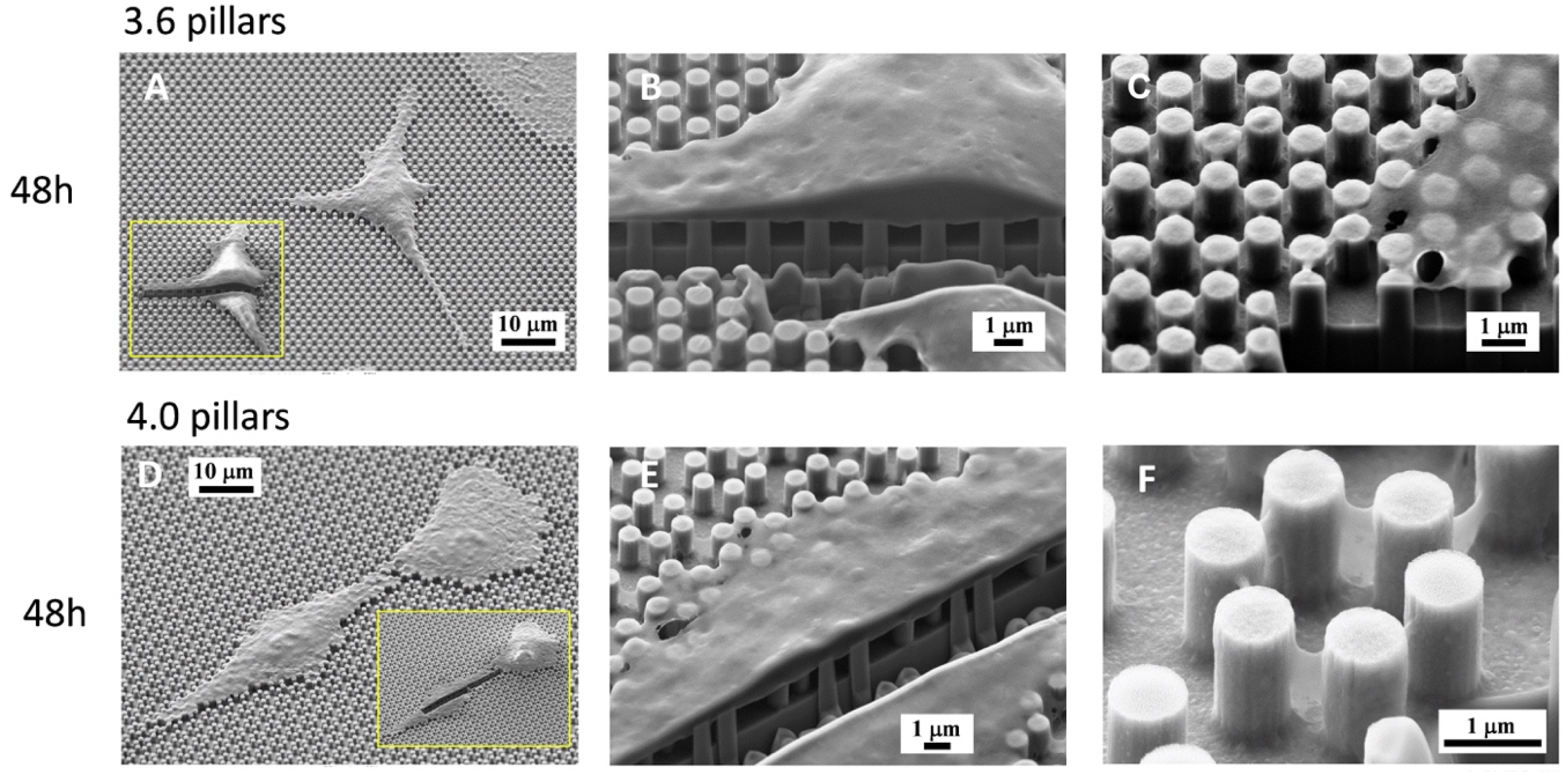 Nanomaterials 09 01701 g006 Nanomaterials 09 01701 g006