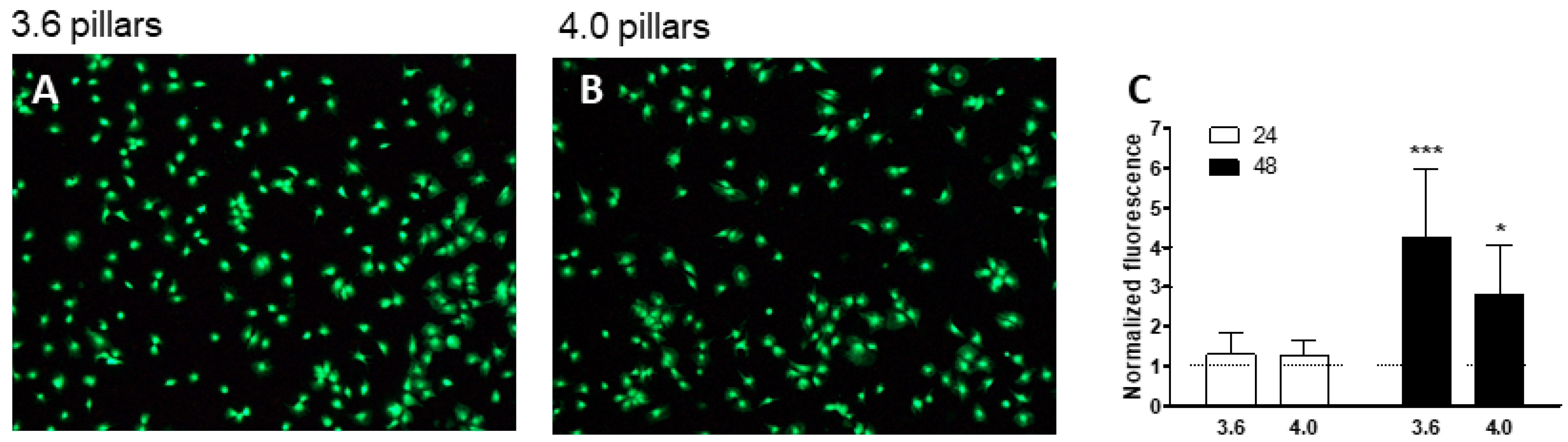 Nanomaterials 09 01701 g008 Nanomaterials 09 01701 g008