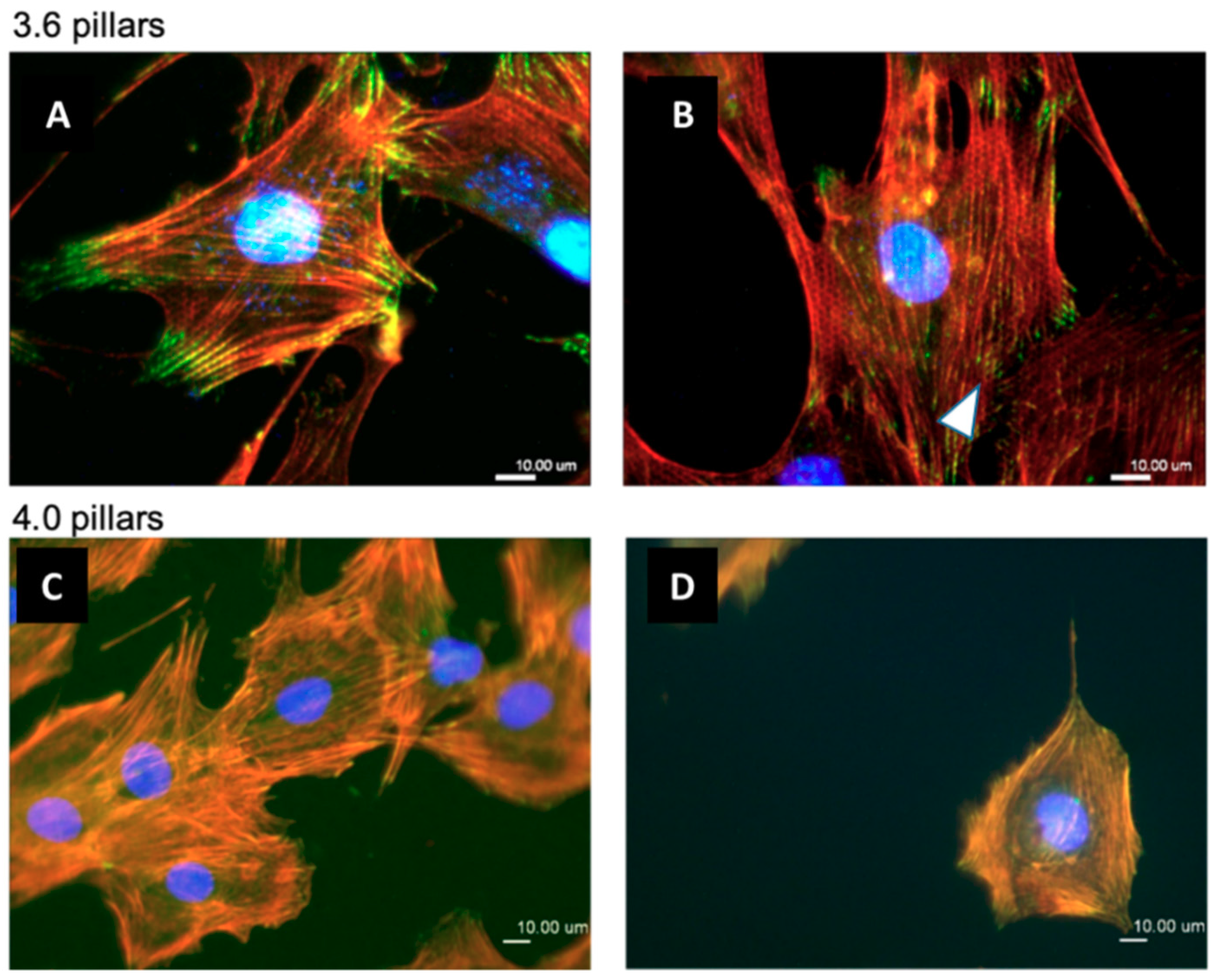 Nanomaterials 09 01701 g009 Nanomaterials 09 01701 g009