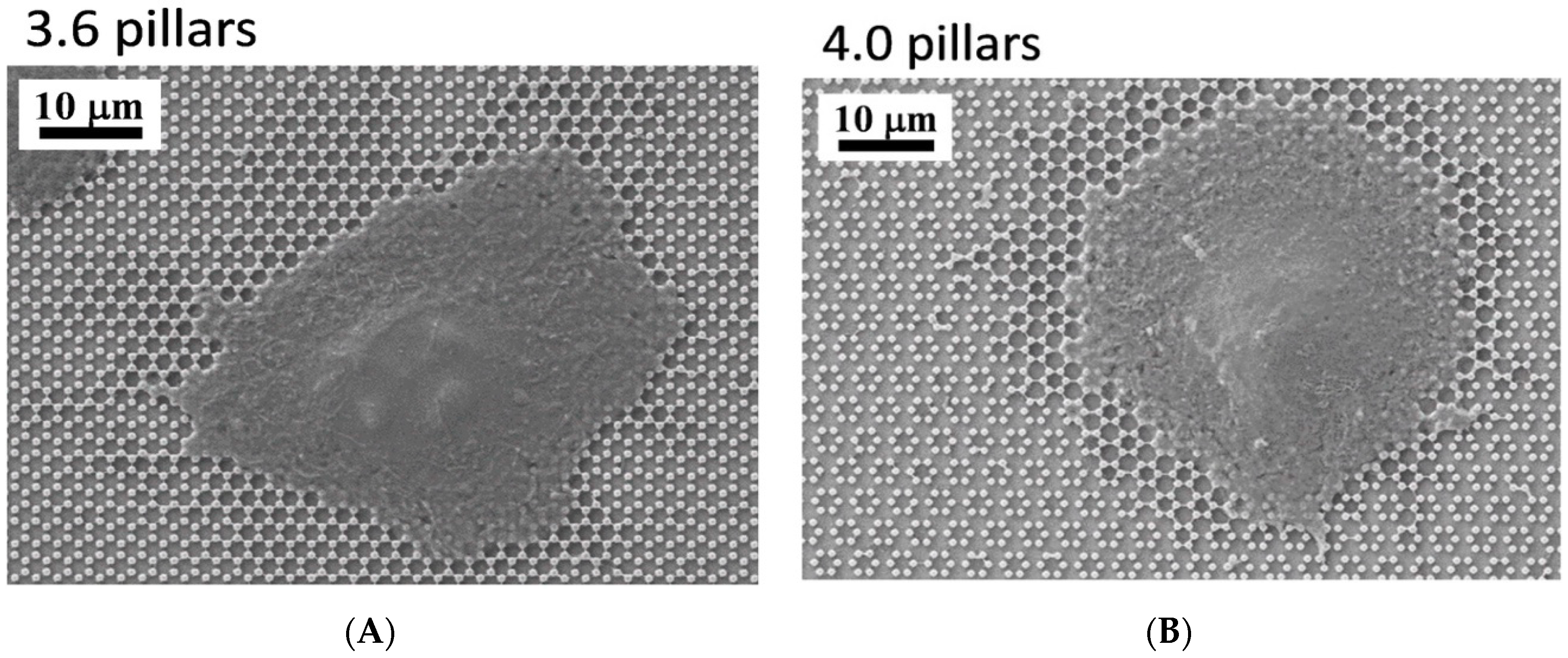 Nanomaterials 09 01701 g010 Nanomaterials 09 01701 g010