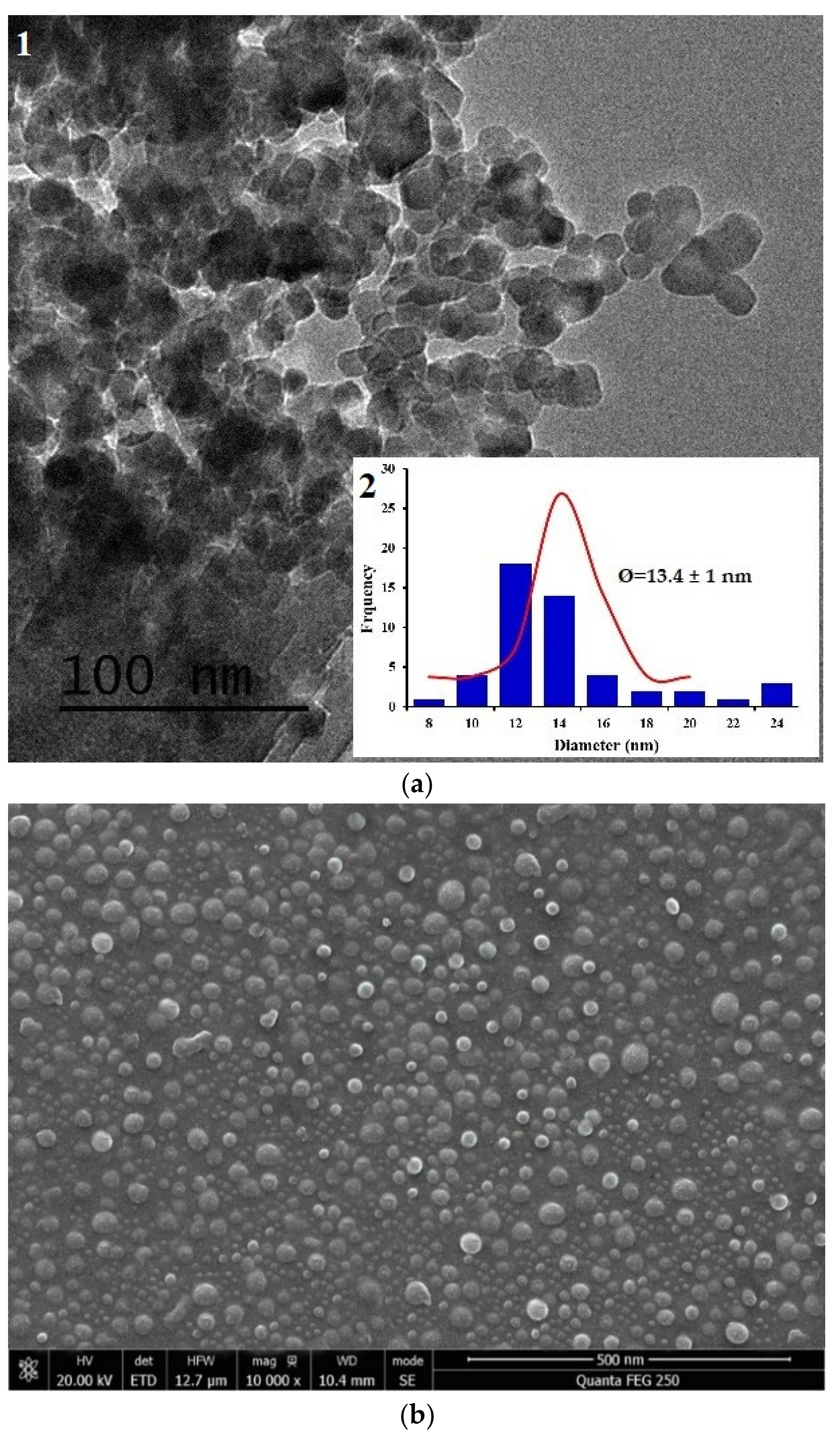Nanomaterials 09 01707 g002 Nanomaterials 09 01707 g002