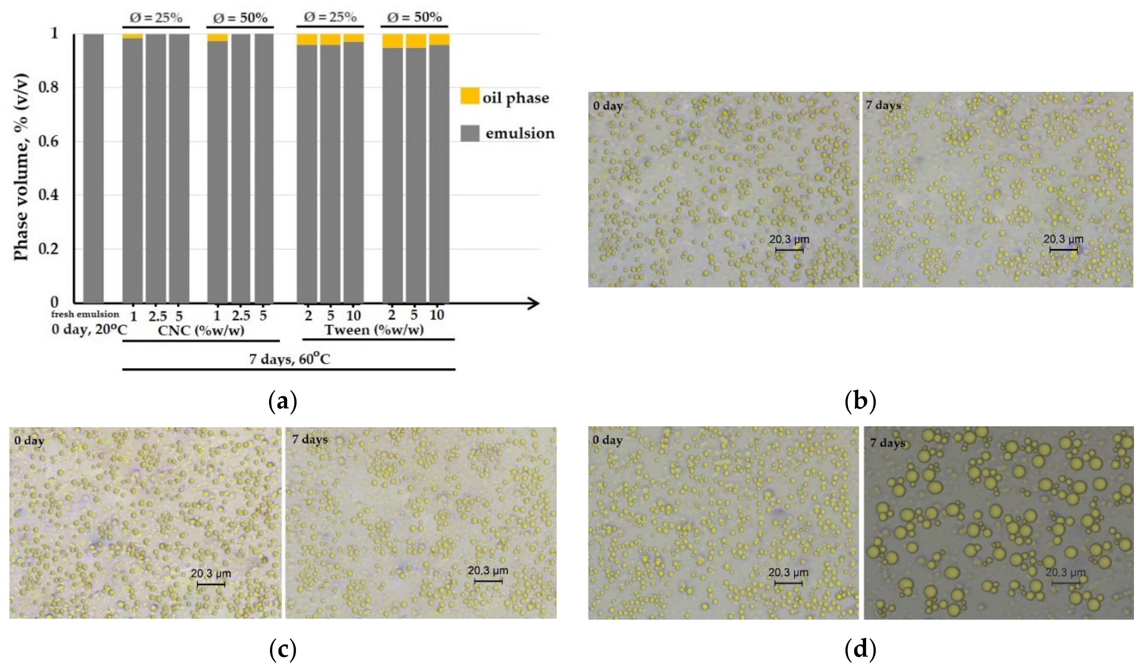Nanomaterials 09 01707 g003 Nanomaterials 09 01707 g003