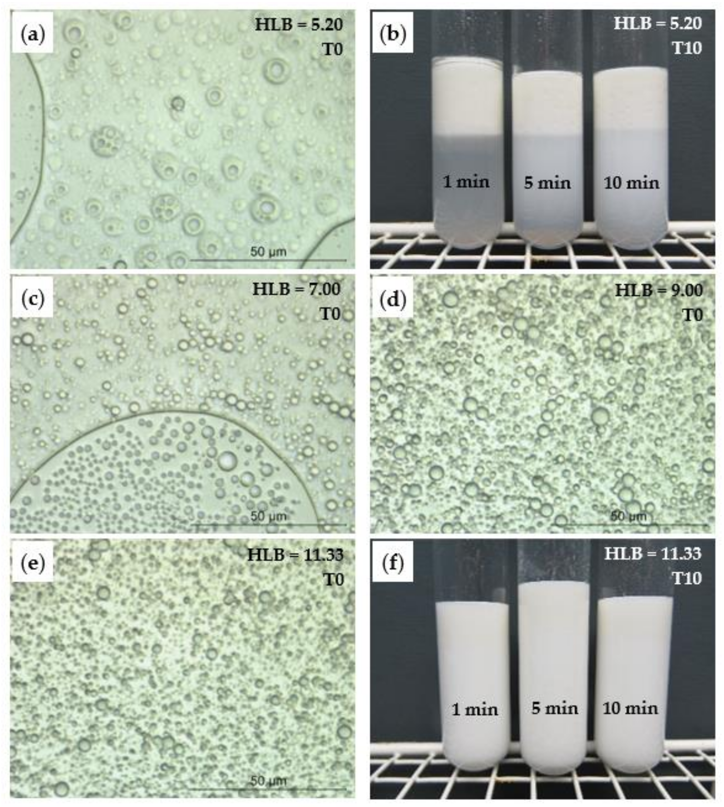 Nanomaterials 09 01710 g001 Nanomaterials 09 01710 g001
