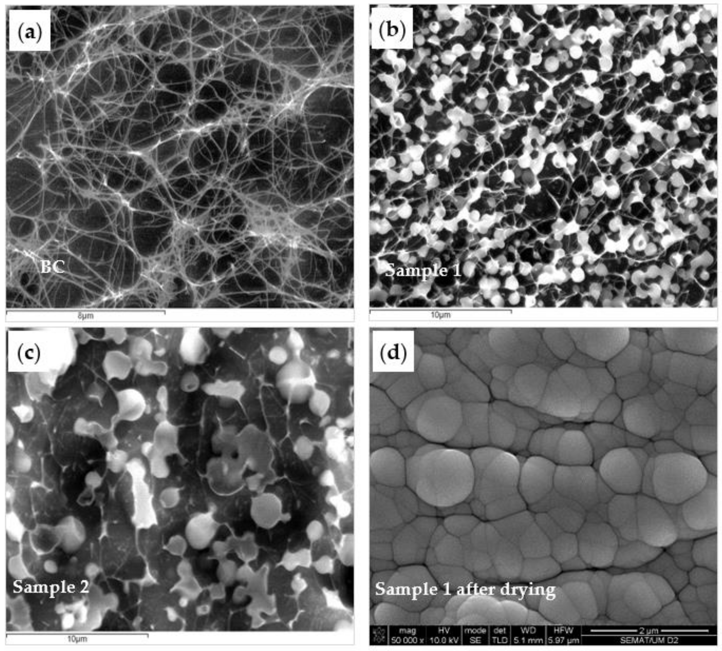 Nanomaterials 09 01710 g002 Nanomaterials 09 01710 g002