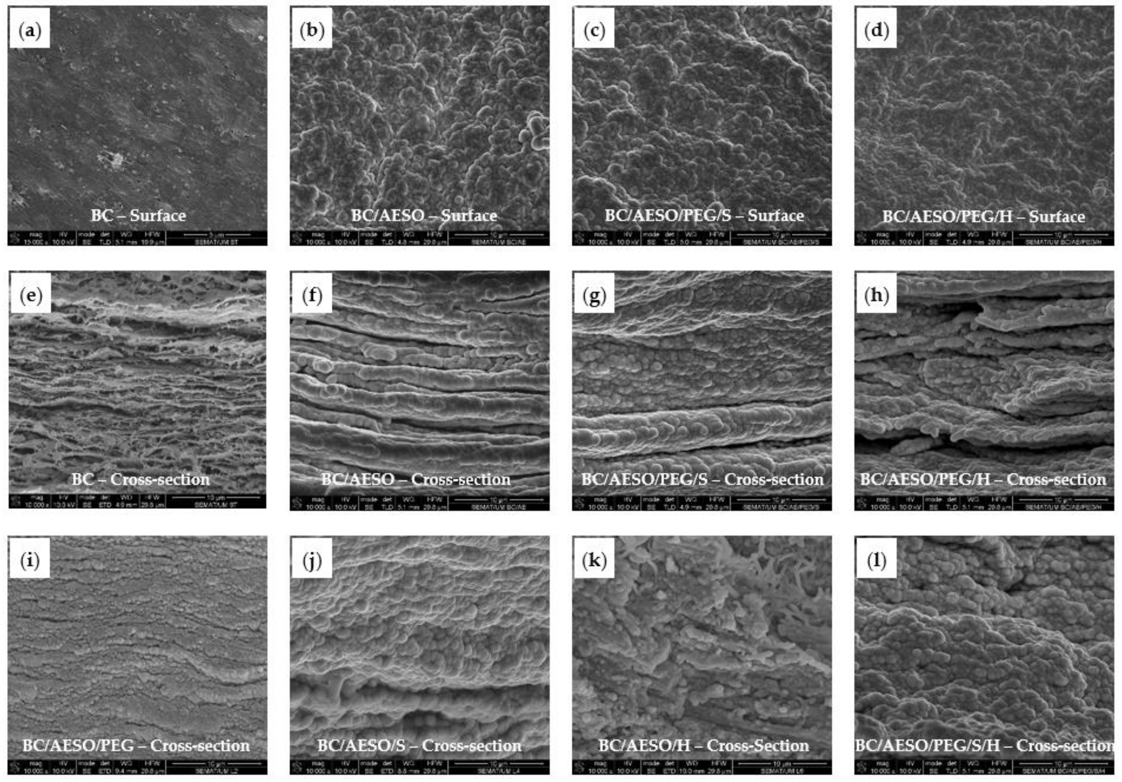 Nanomaterials 09 01710 g003 Nanomaterials 09 01710 g003