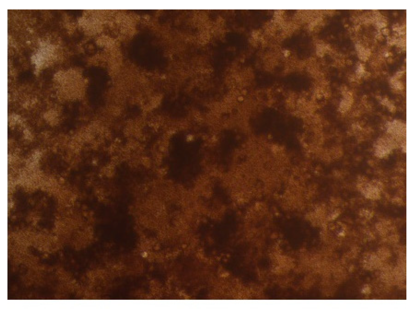 Nanomaterials 09 01713 g006