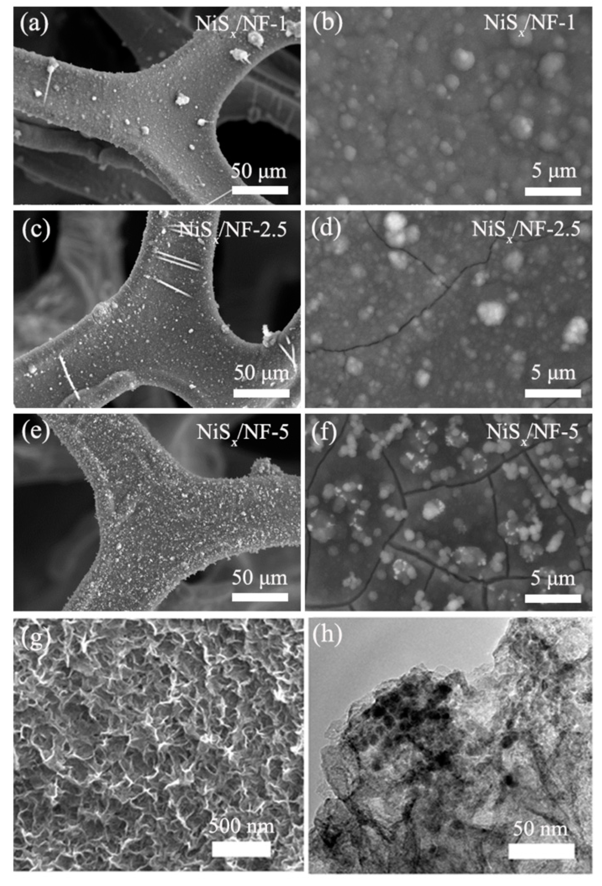 Nanomaterials 09 01718 g002