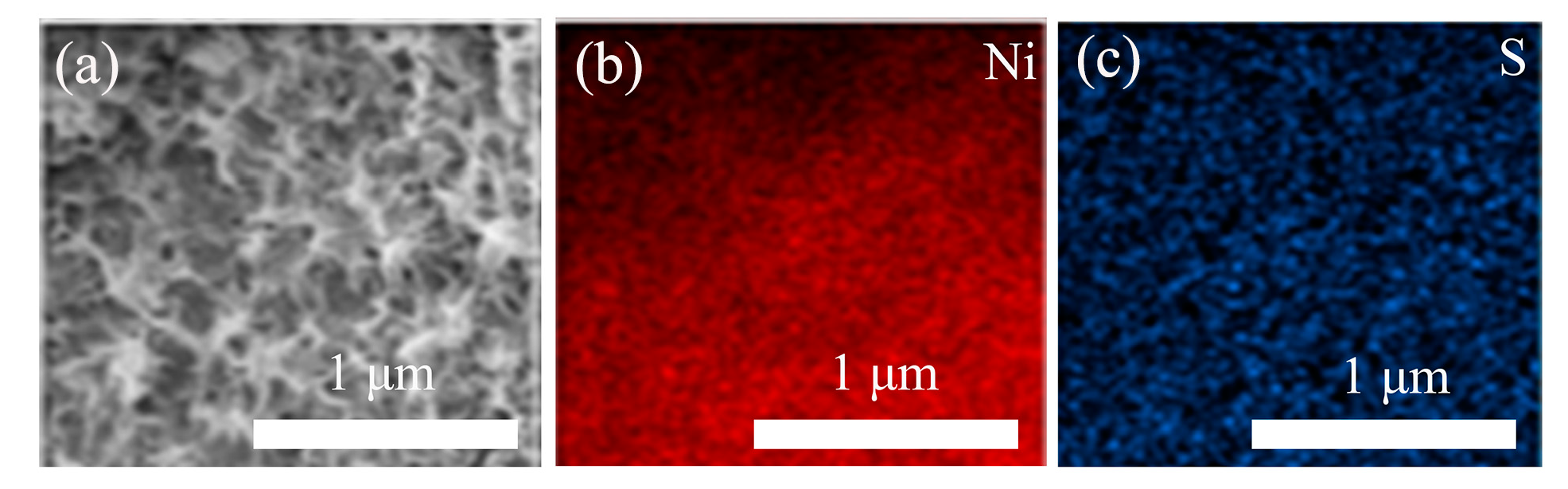 Nanomaterials 09 01718 g003