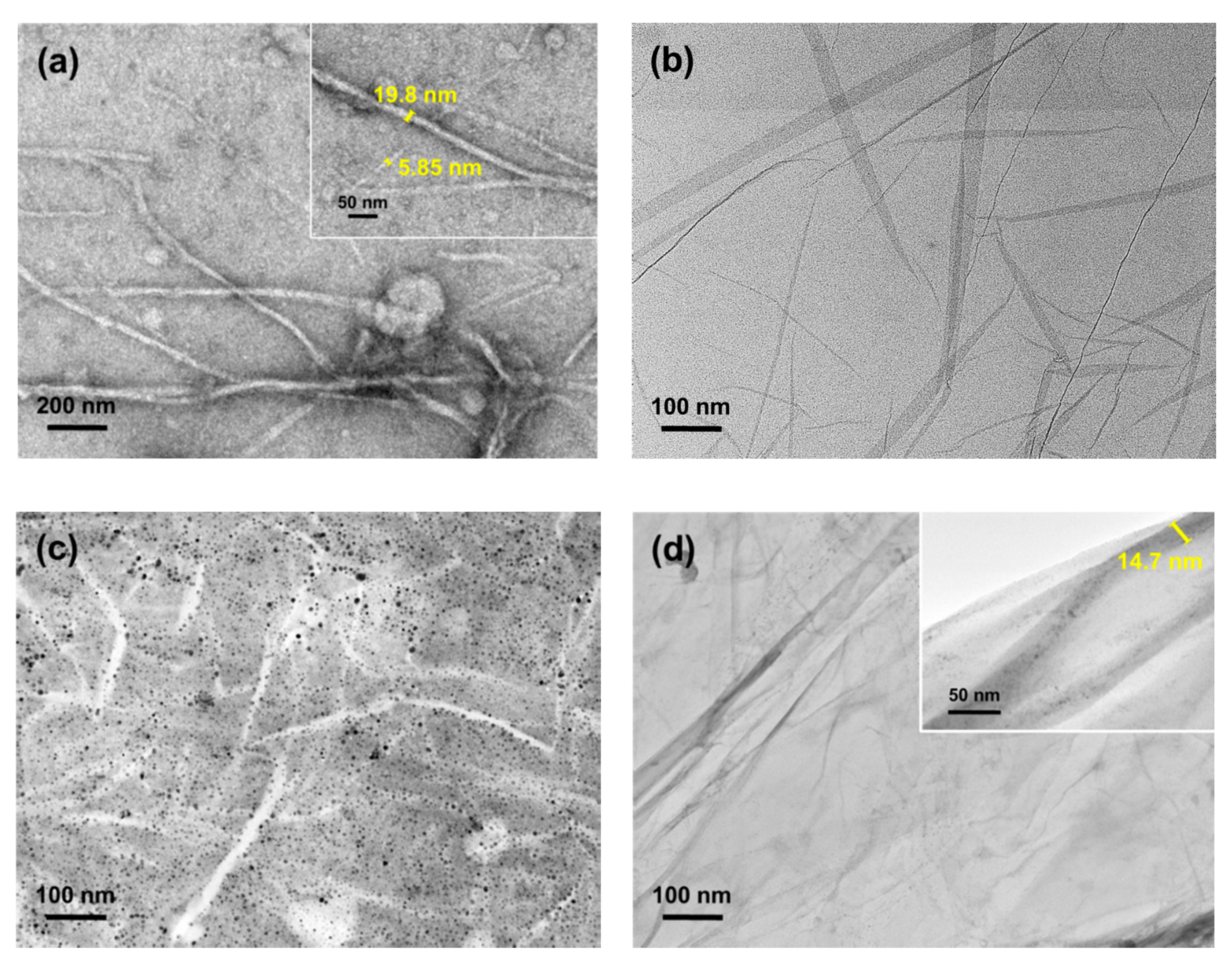 Nanomaterials 09 01726 g001 Nanomaterials 09 01726 g001