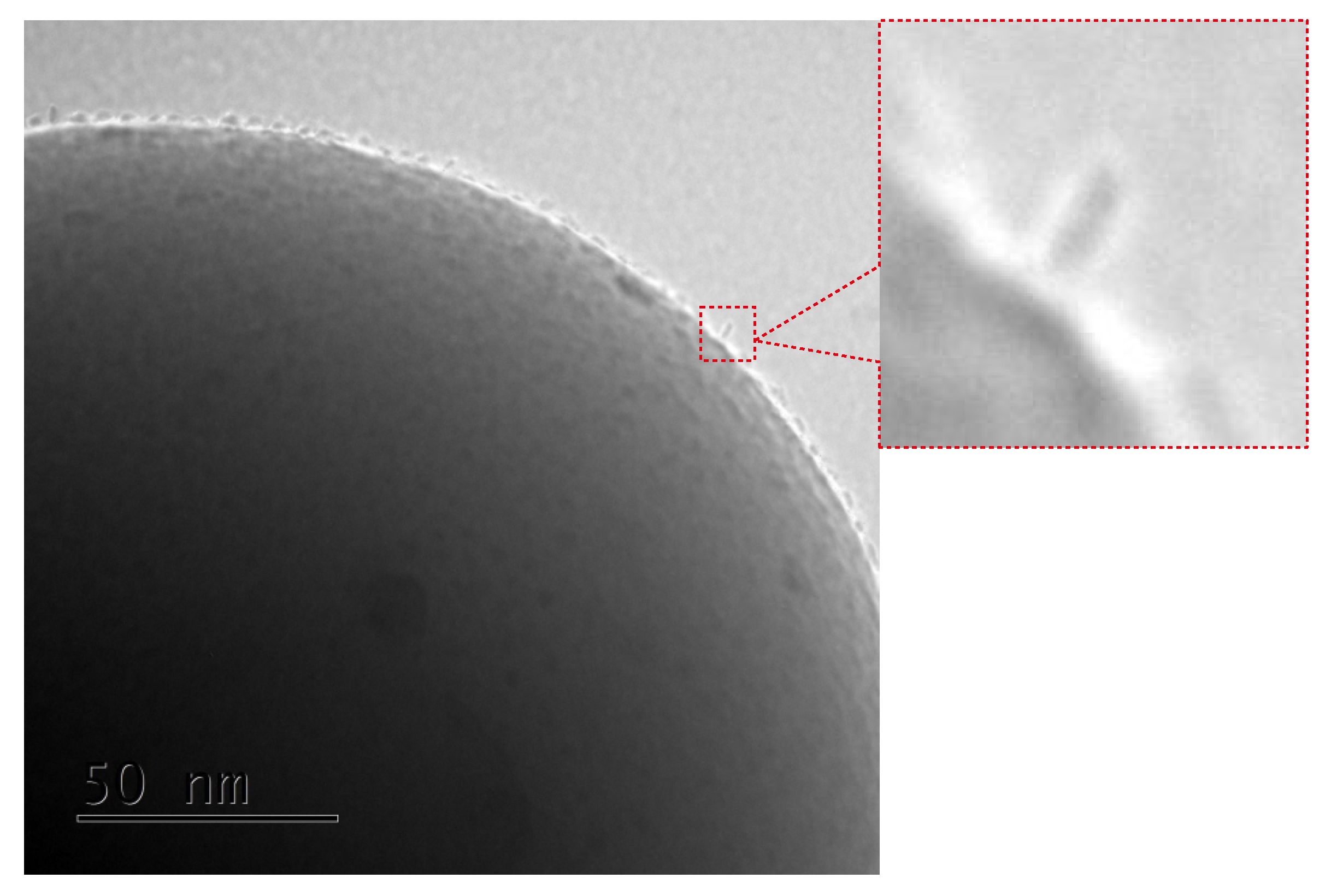 Nanomaterials 09 01730 g005