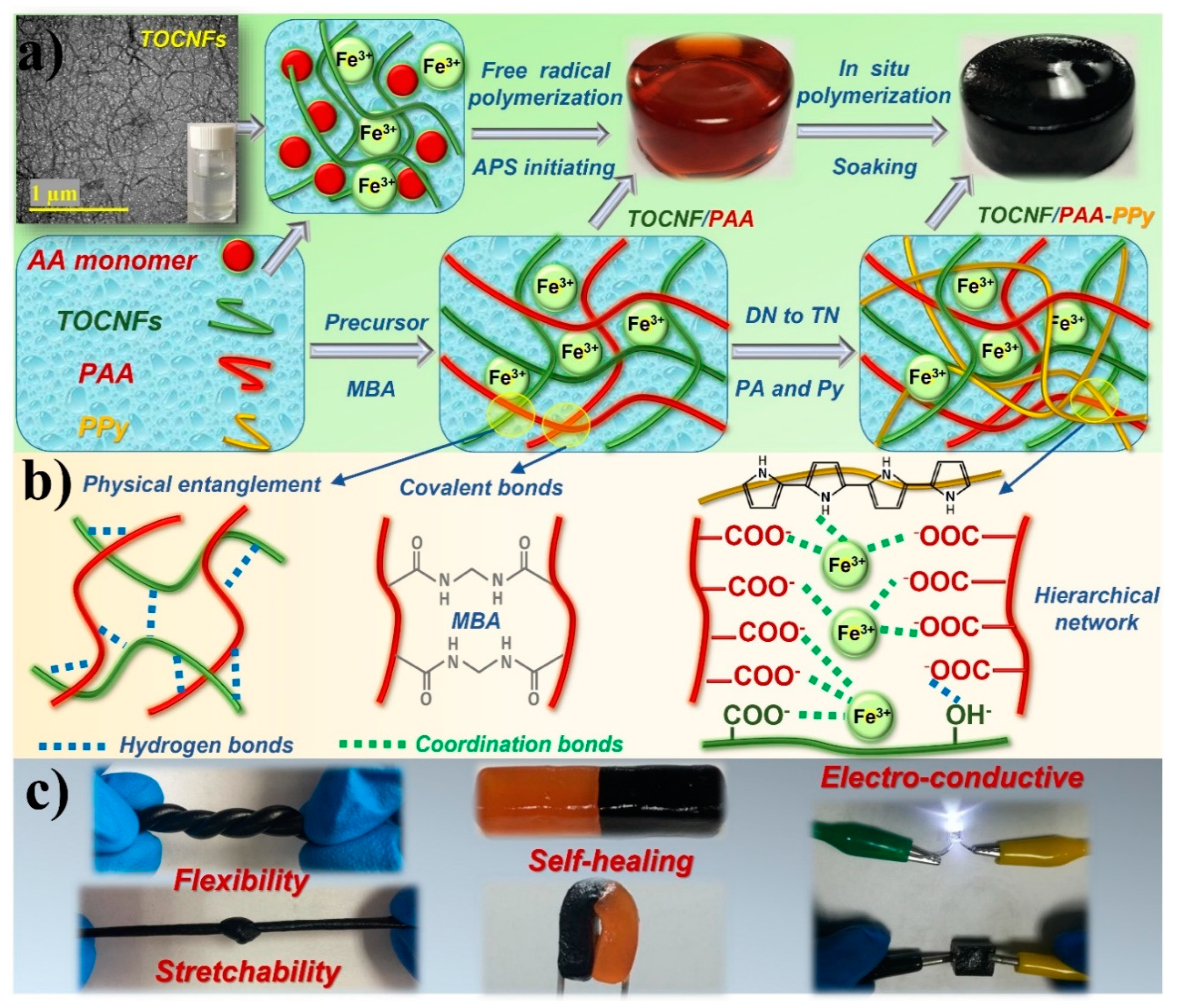 Nanomaterials 09 01737 g001