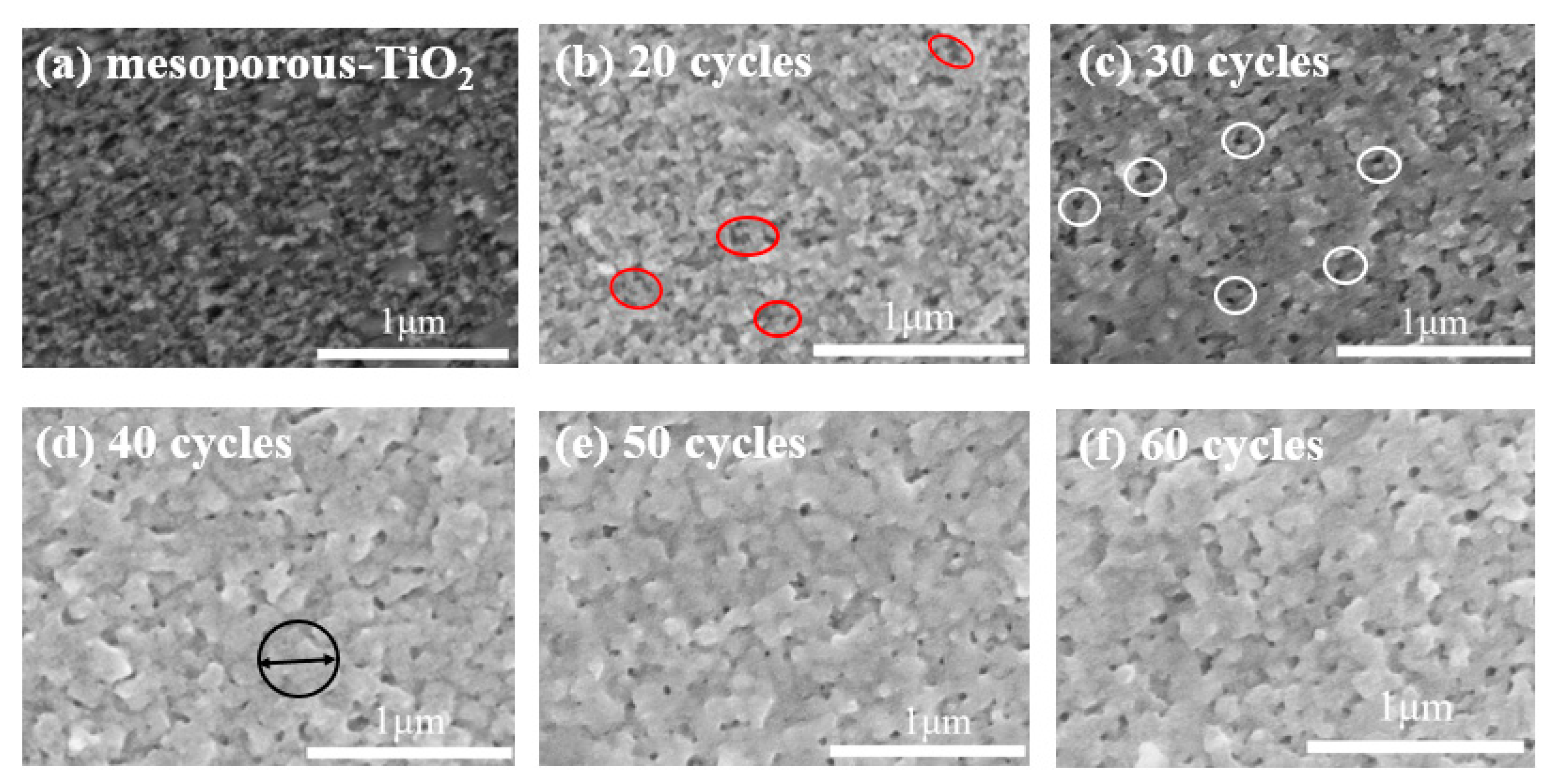 Nanomaterials 09 01738 g002