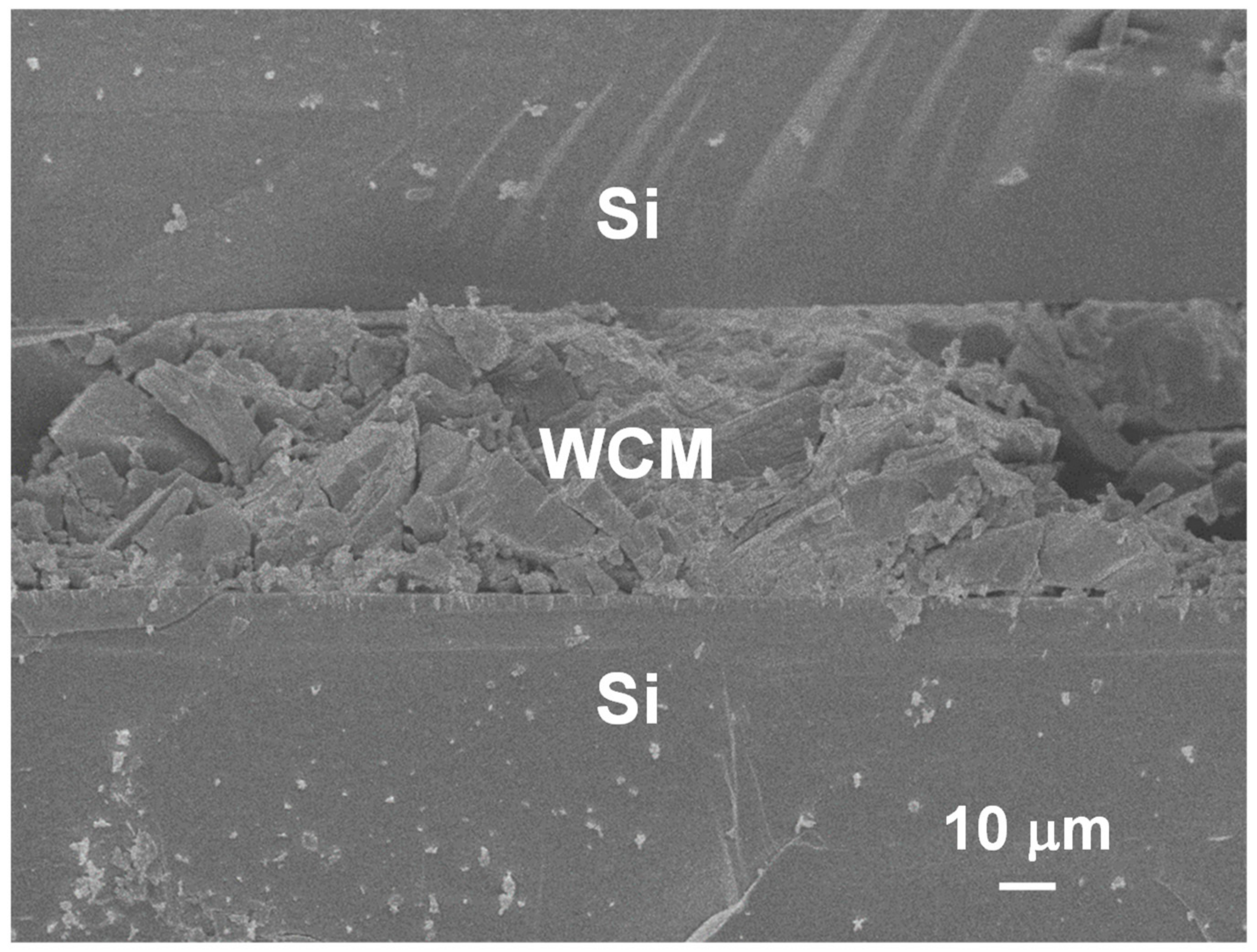 Nanomaterials 09 01742 g002 Nanomaterials 09 01742 g002