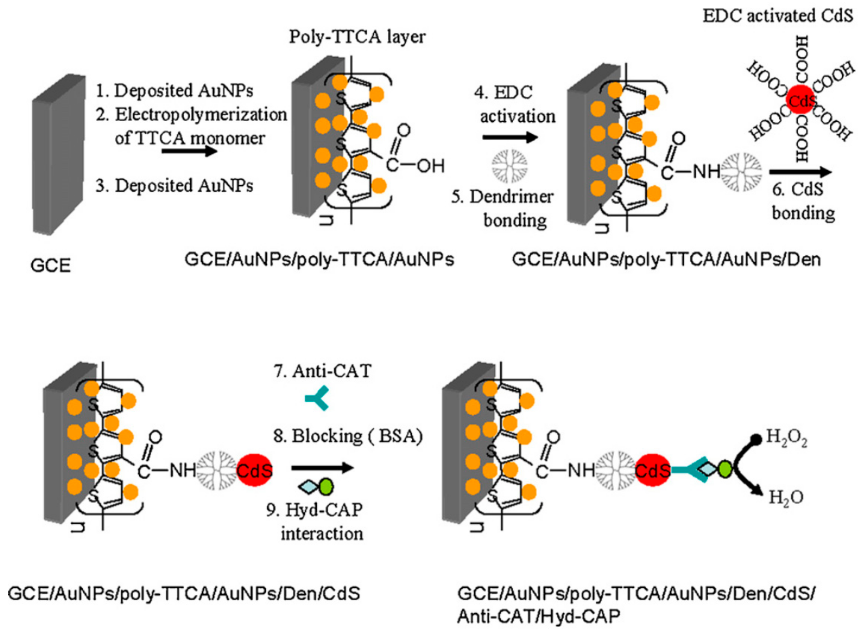 Nanomaterials 09 01745 g006 Nanomaterials 09 01745 g006