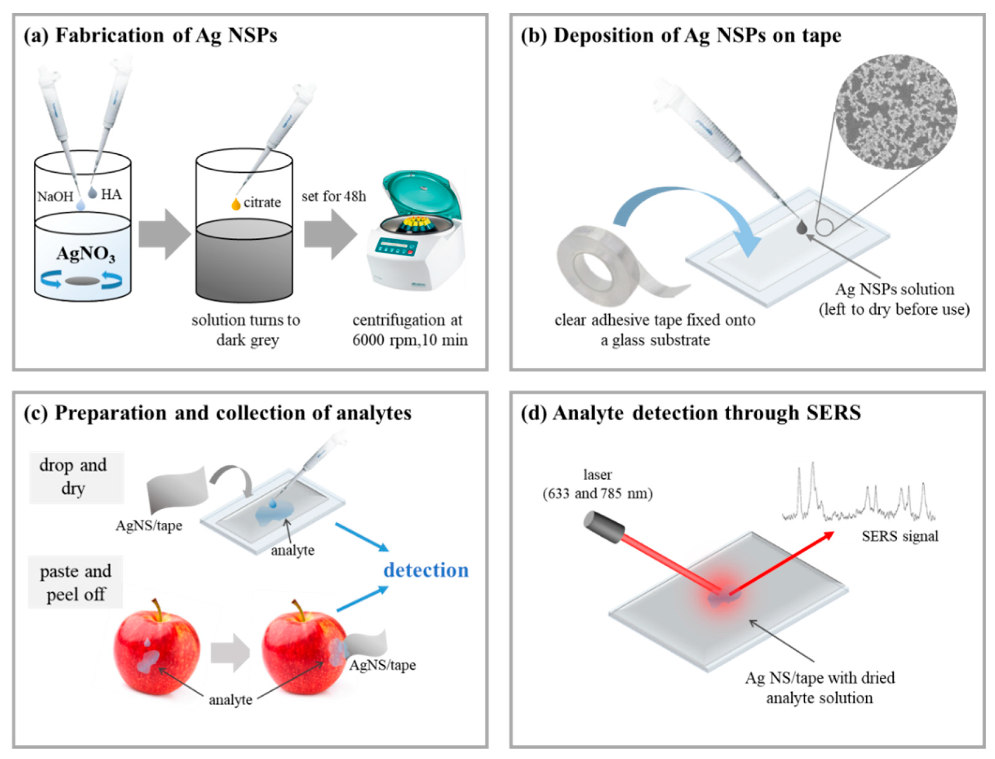 Nanomaterials 09 01750 g001