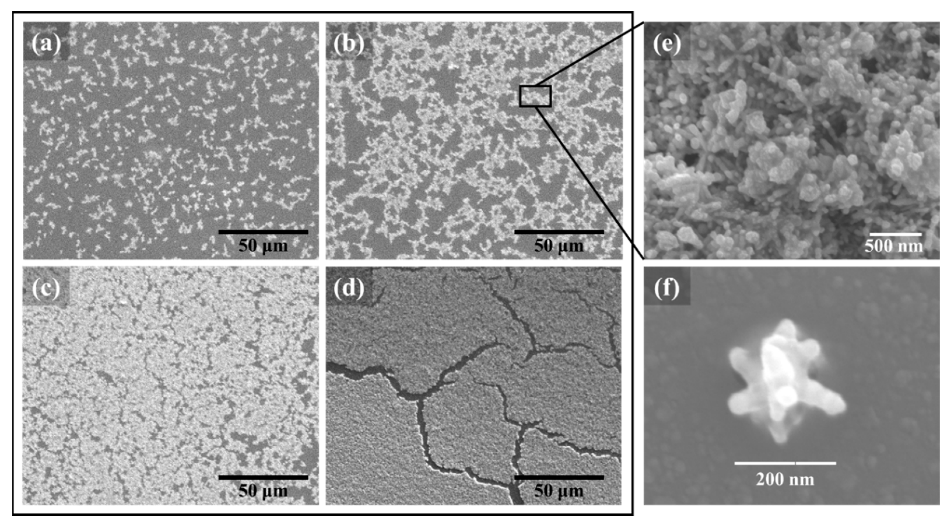 Nanomaterials 09 01750 g002