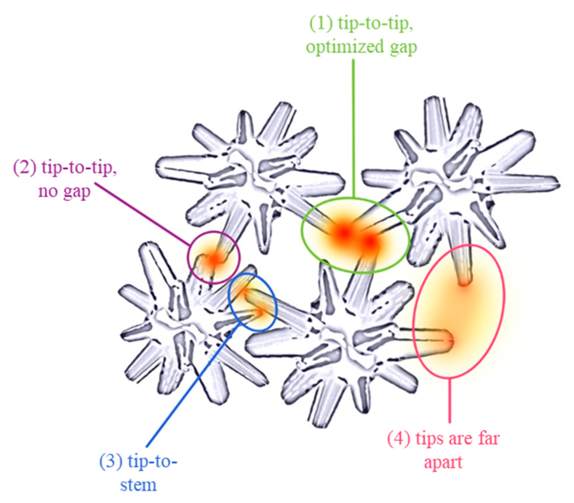 Nanomaterials 09 01750 g006