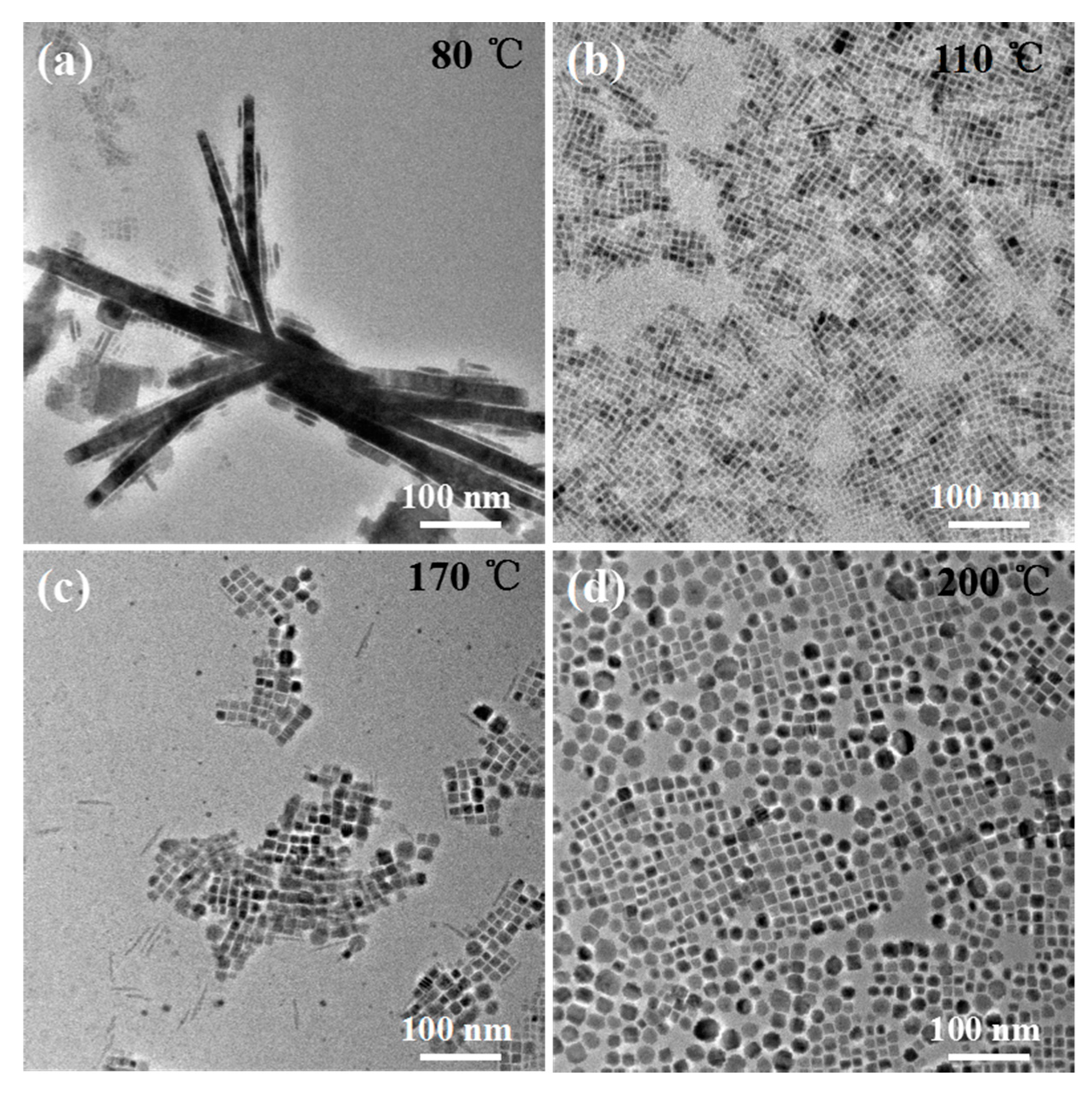 Nanomaterials 09 01751 g004