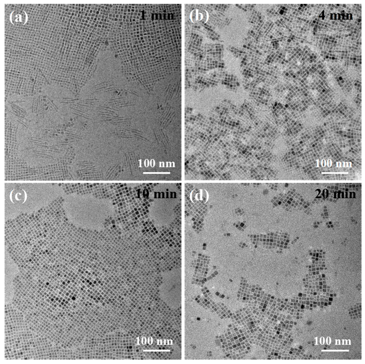 Nanomaterials 09 01751 g006