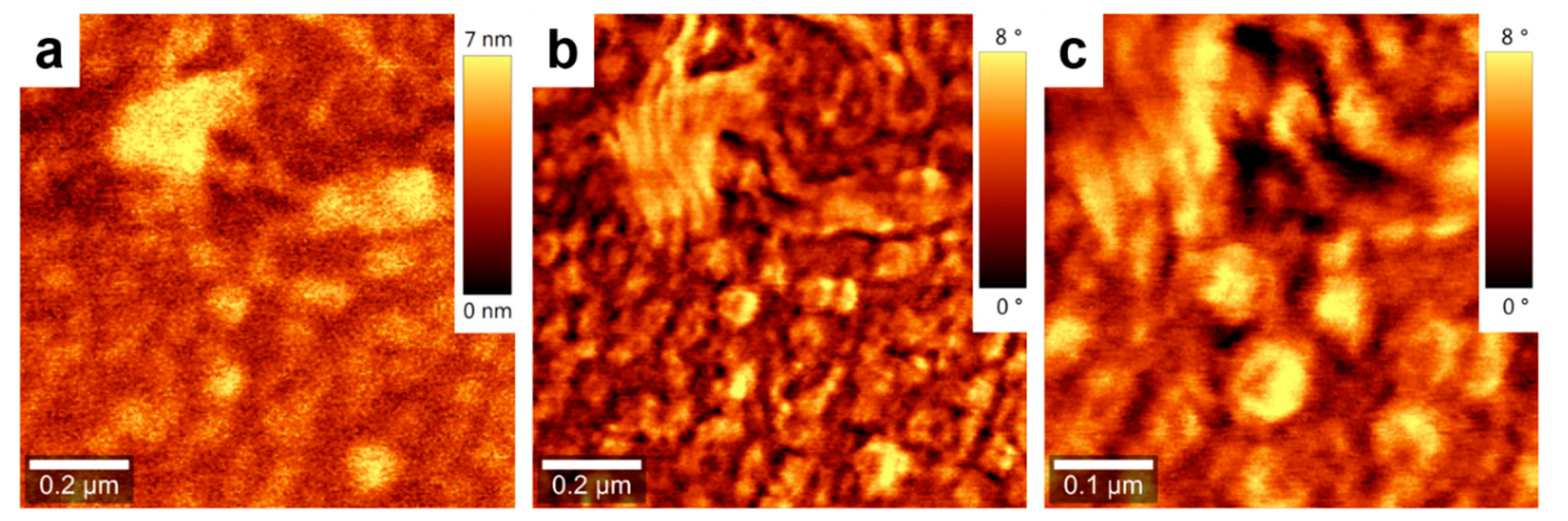 Nanomaterials 09 01757 g009