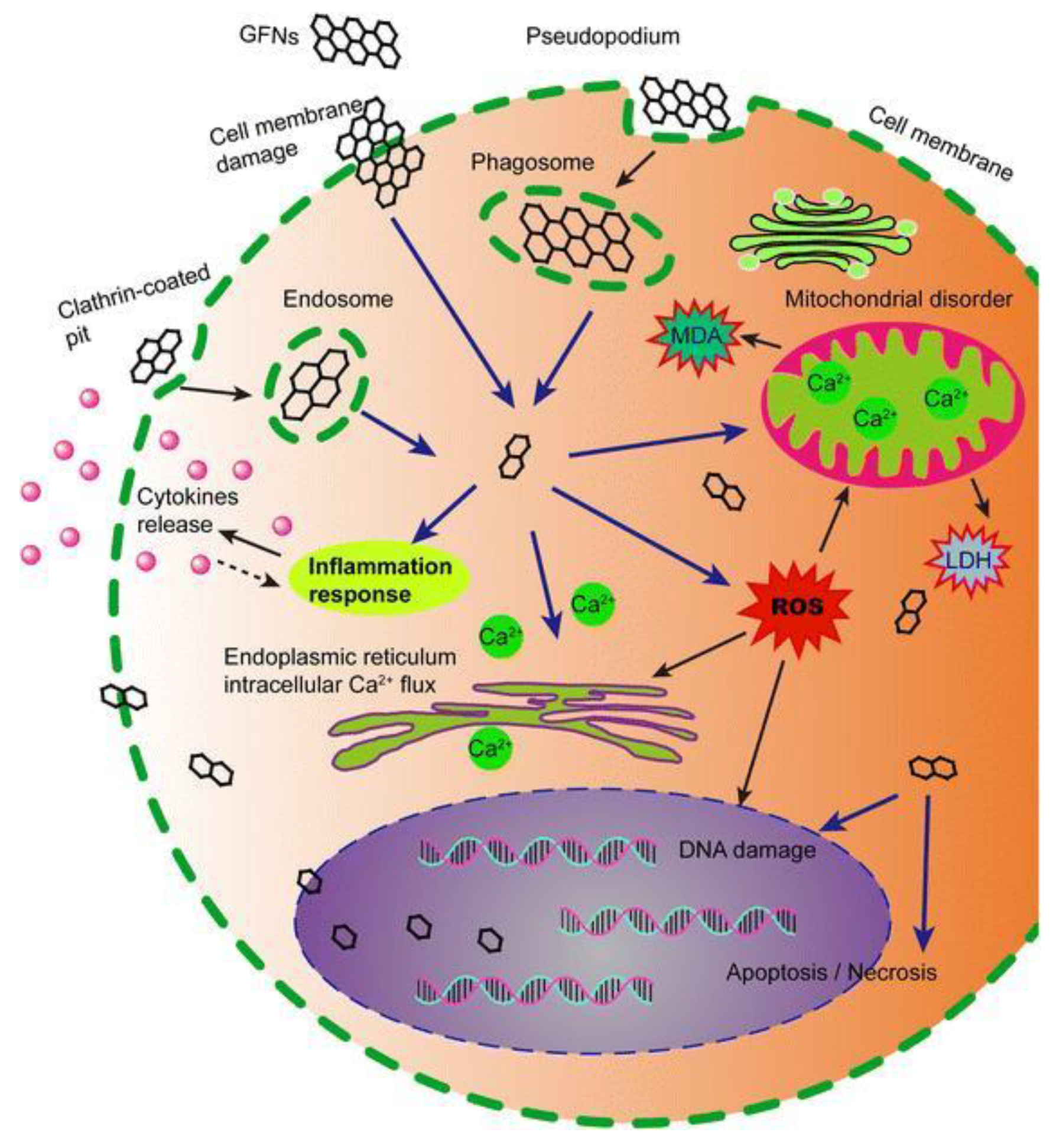 Nanomaterials 09 01758 g007