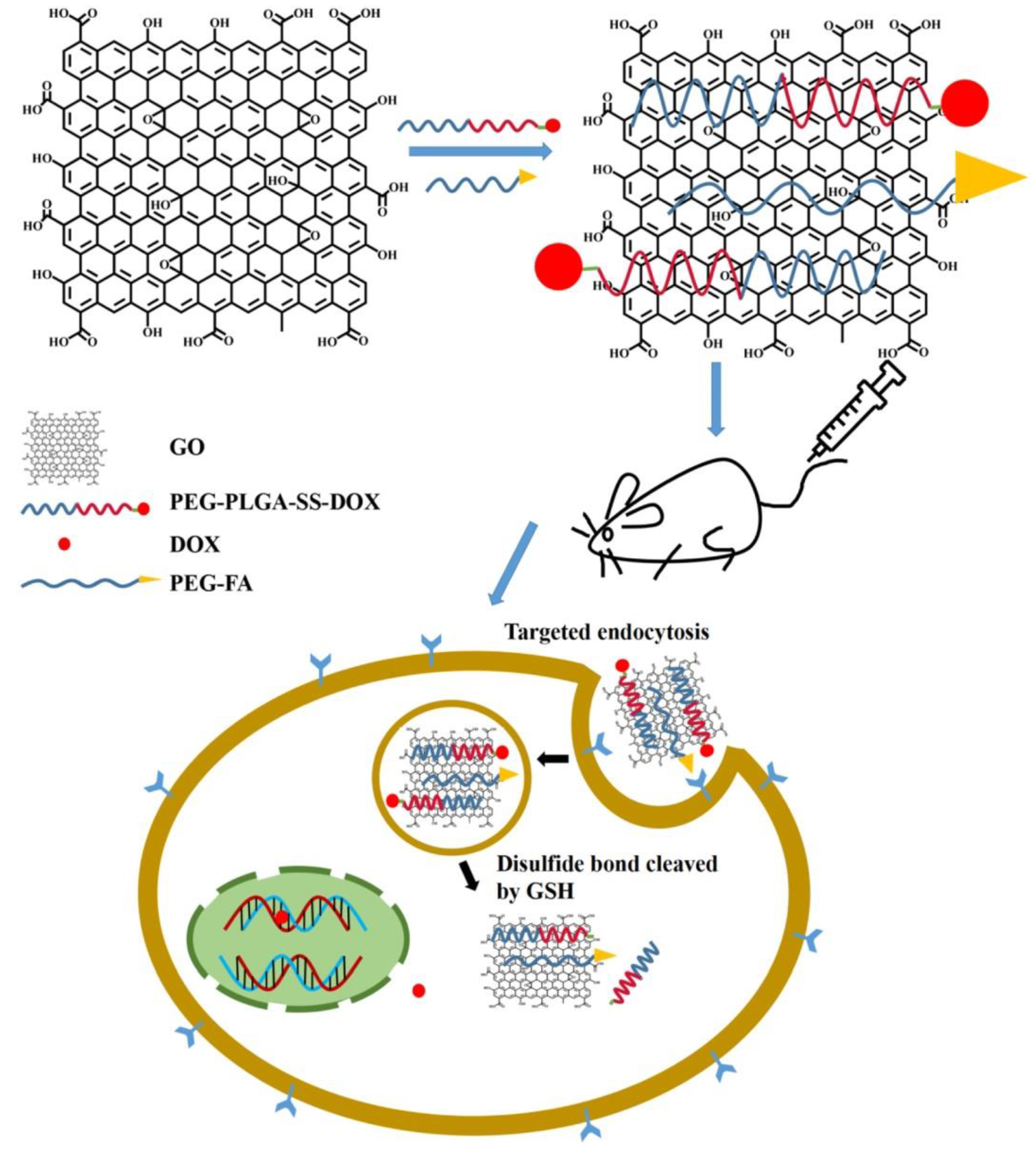 Nanomaterials 09 01758 g011