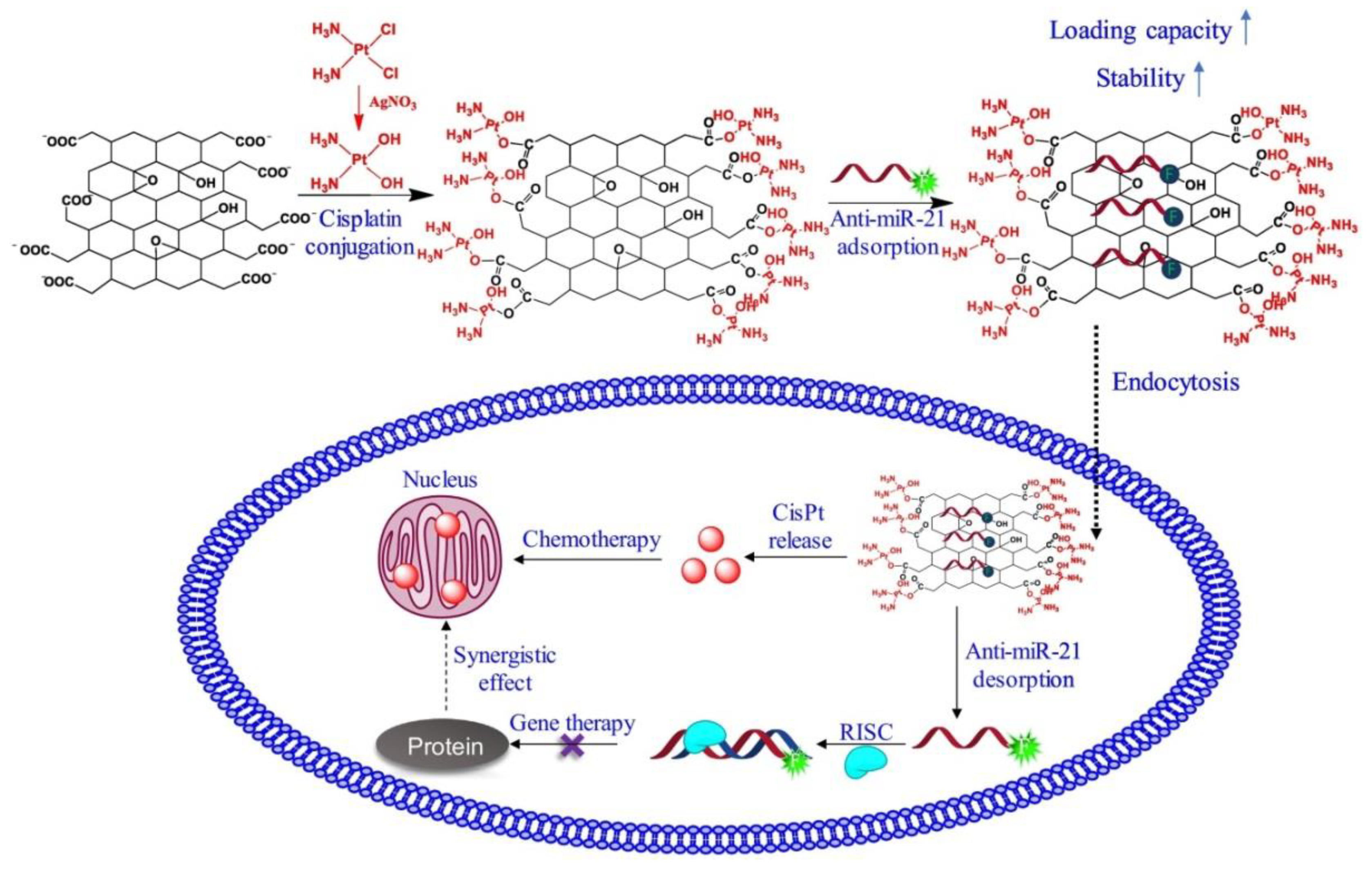 Nanomaterials 09 01758 g014