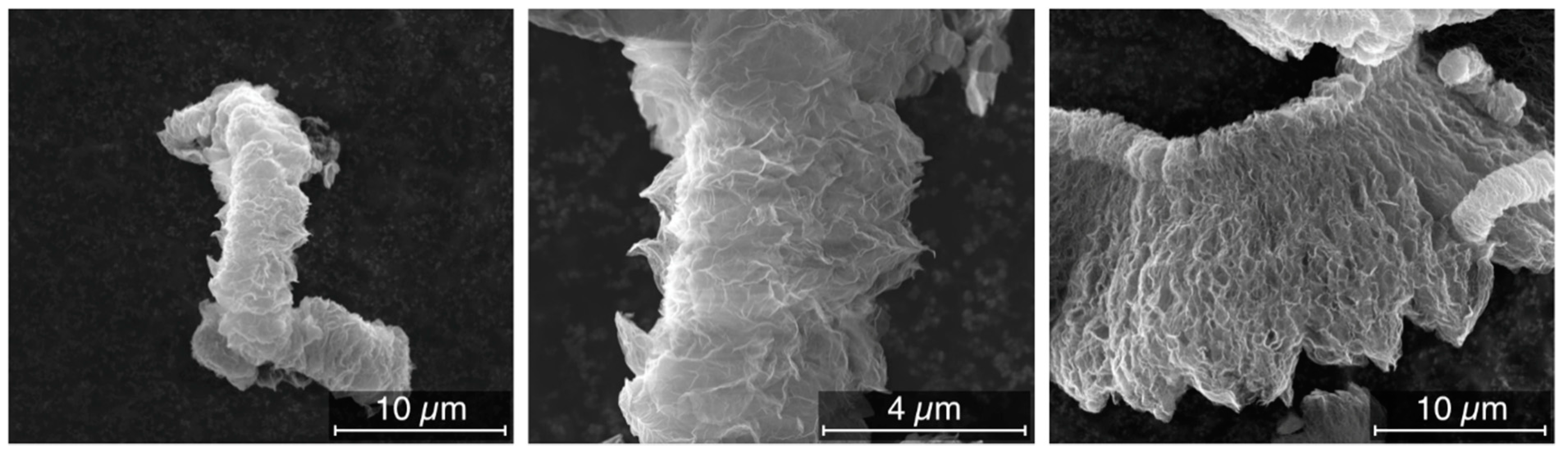 Nanomaterials 09 01766 g001
