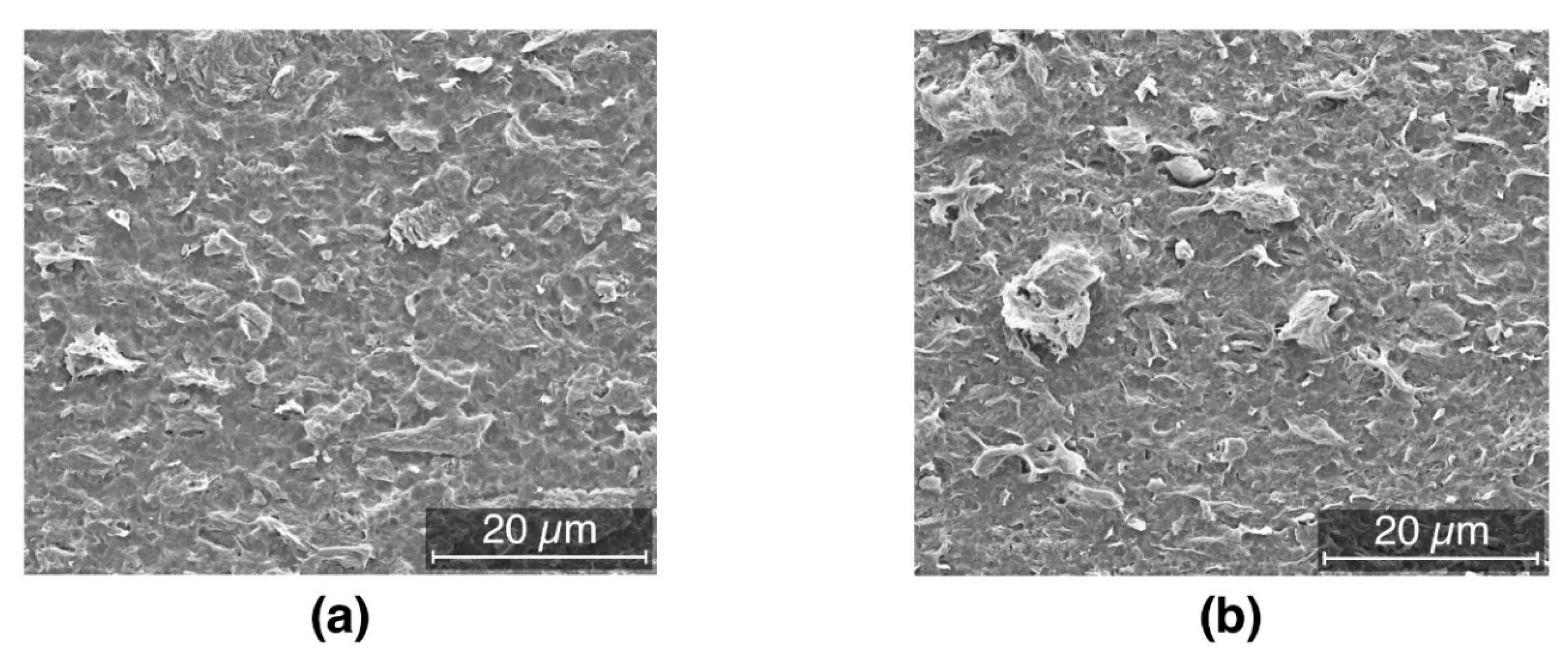 Nanomaterials 09 01766 g004