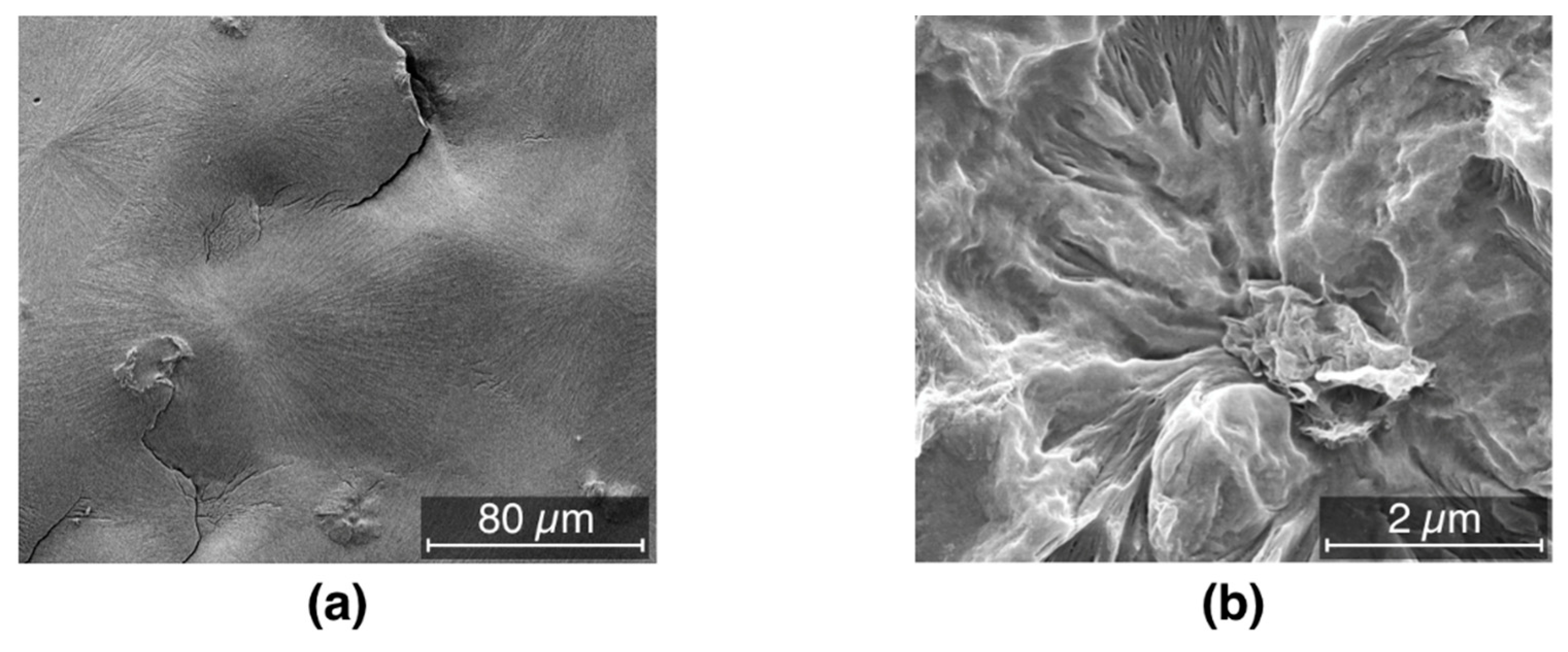 Nanomaterials 09 01766 g008