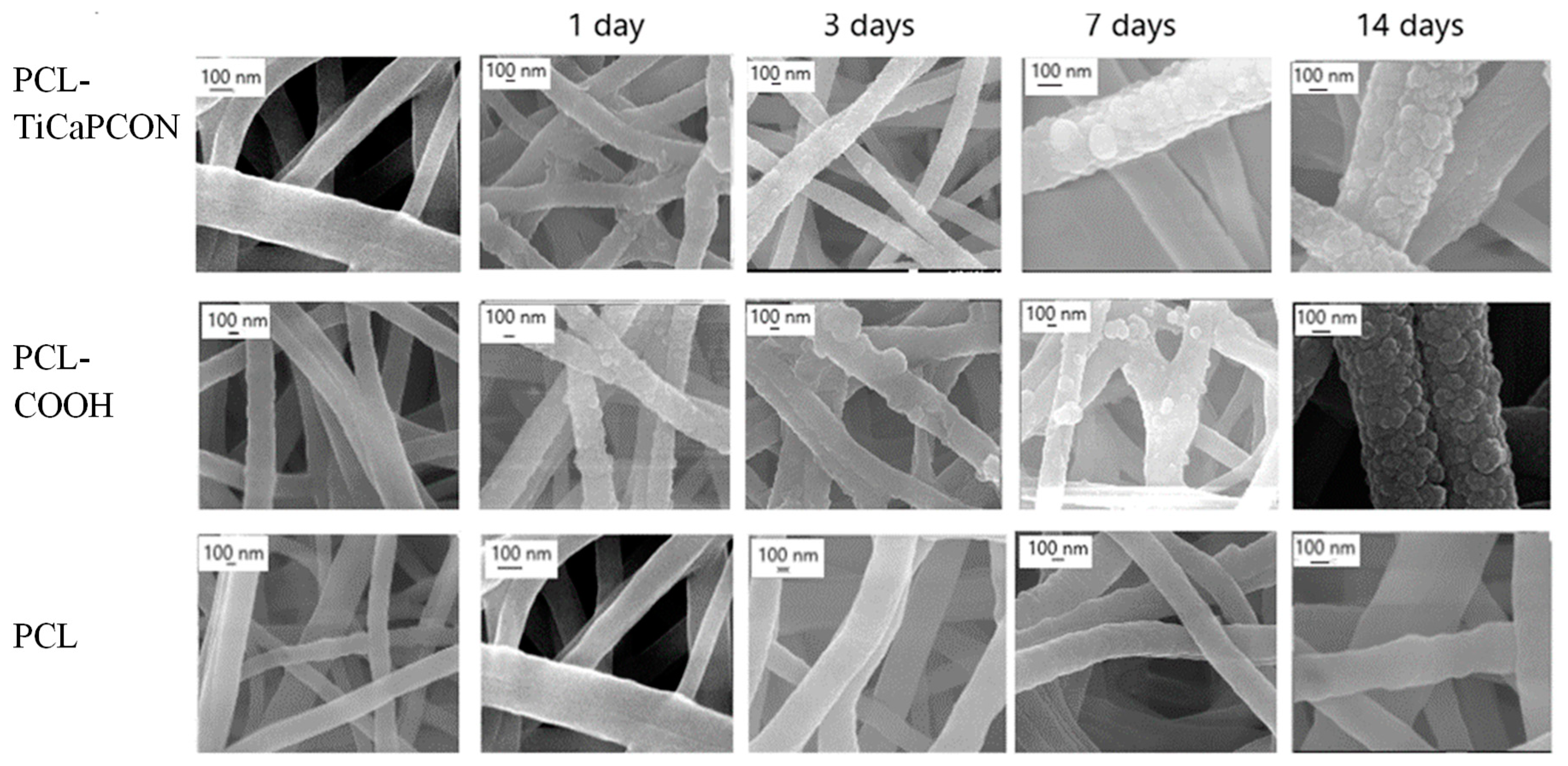 Nanomaterials 09 01769 g001 Nanomaterials 09 01769 g001