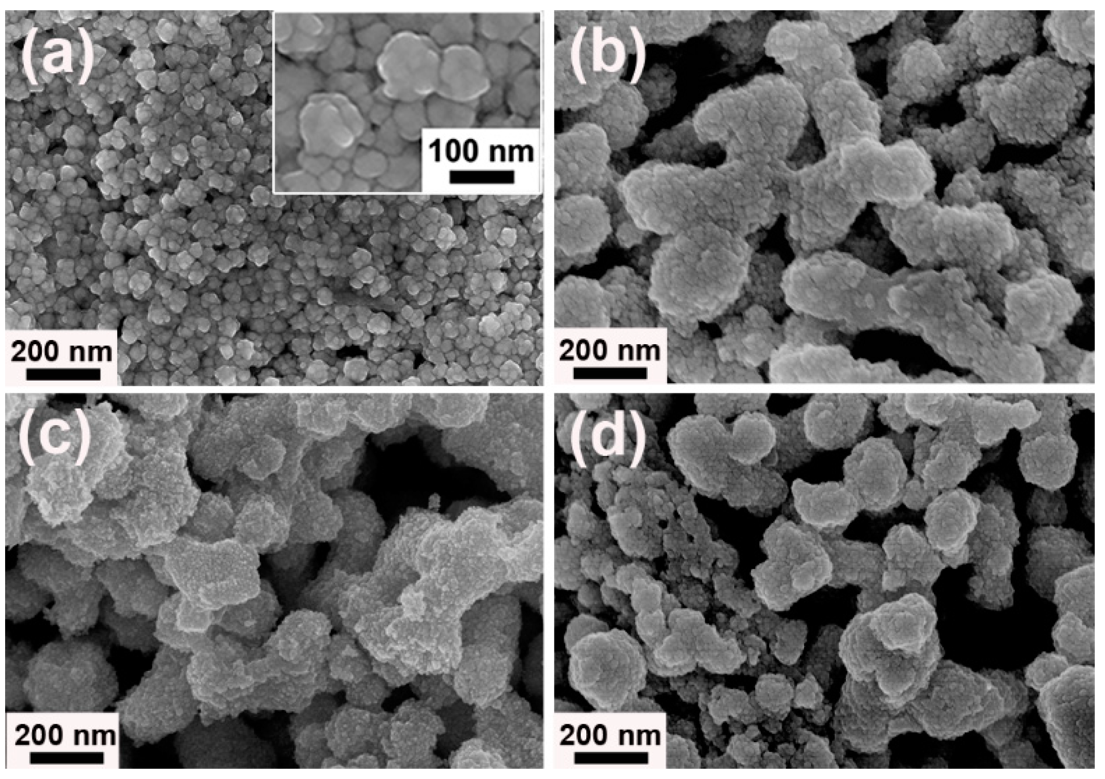 Nanomaterials 09 01772 g006