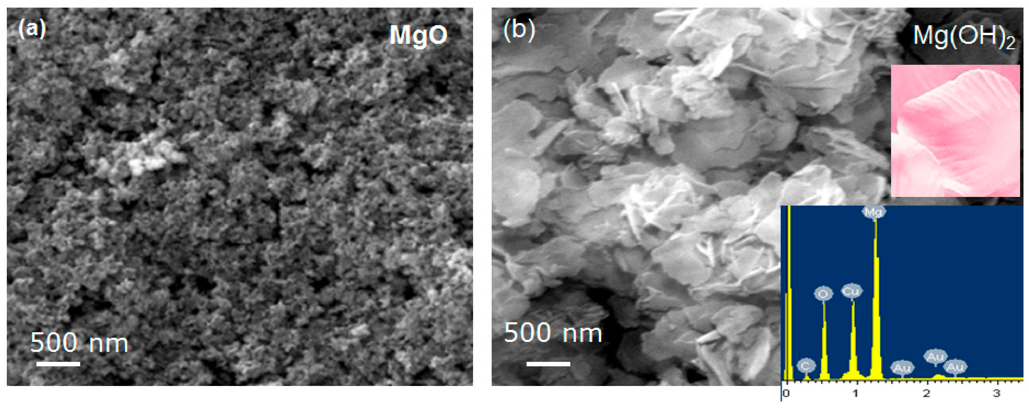 Nanomaterials 09 01773 g005