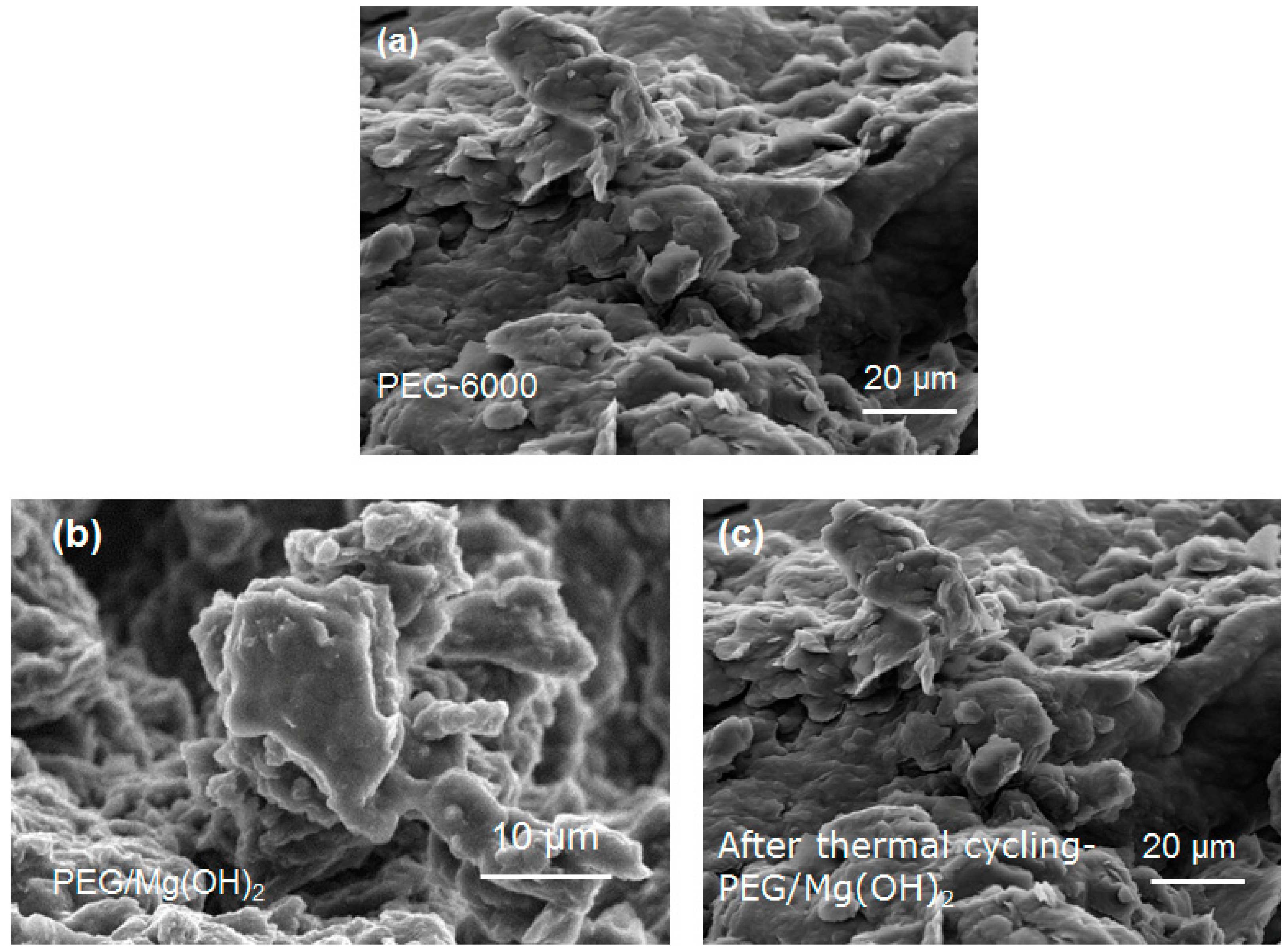 Nanomaterials 09 01773 g012