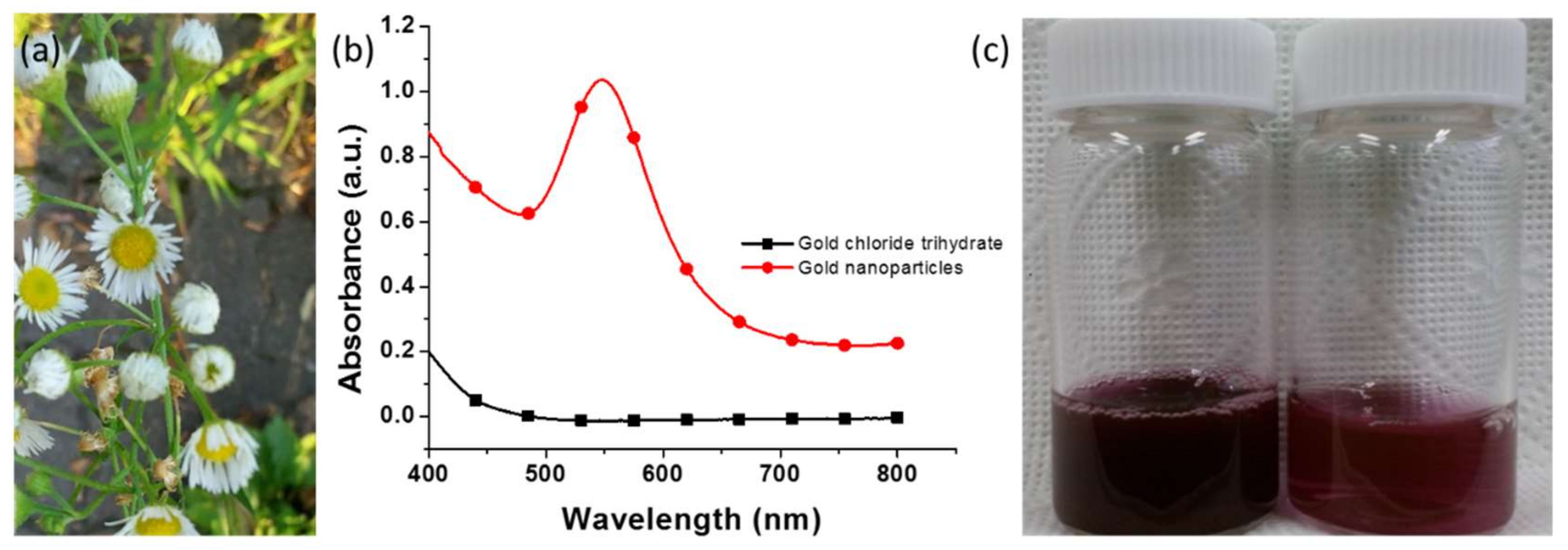 Nanomaterials 09 01774 g001 Nanomaterials 09 01774 g001