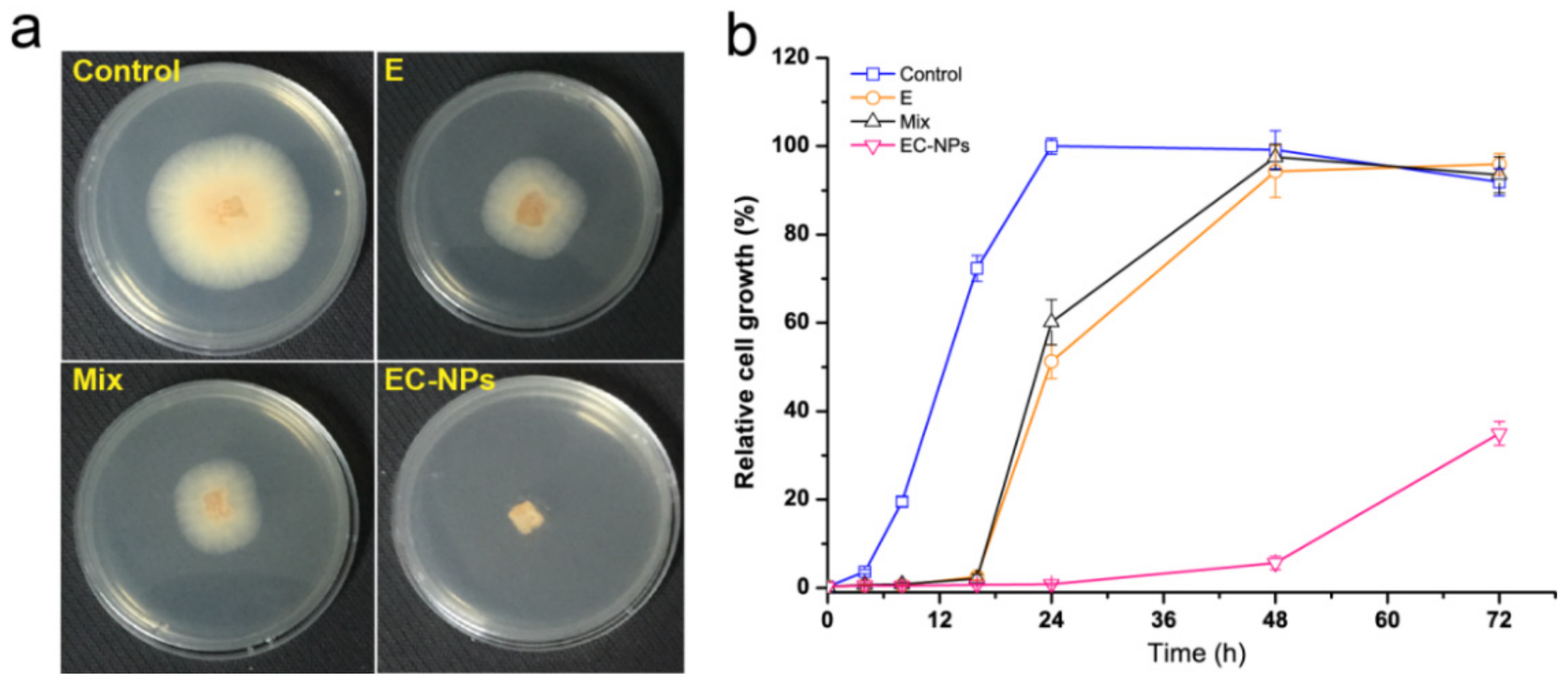 Nanomaterials 09 01777 g003
