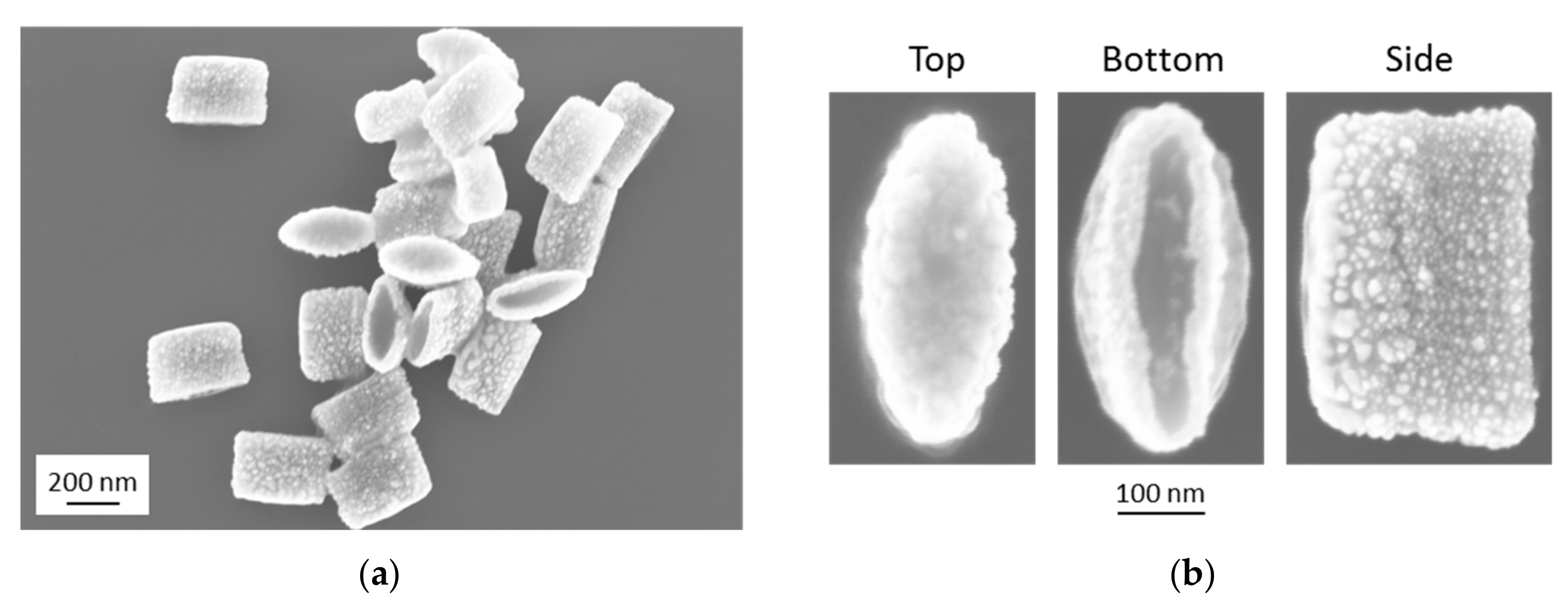 Nanomaterials 09 01790 g012