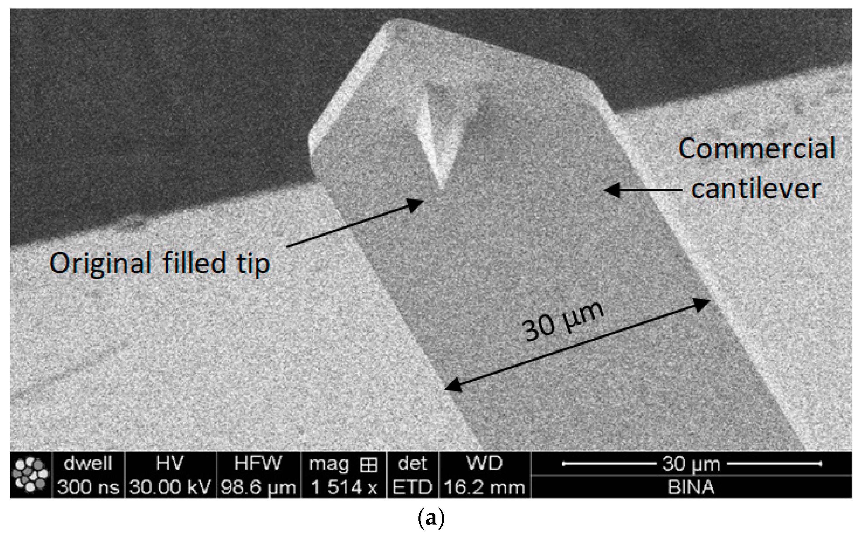 Nanomaterials 09 01792 g004a Nanomaterials 09 01792 g004a
