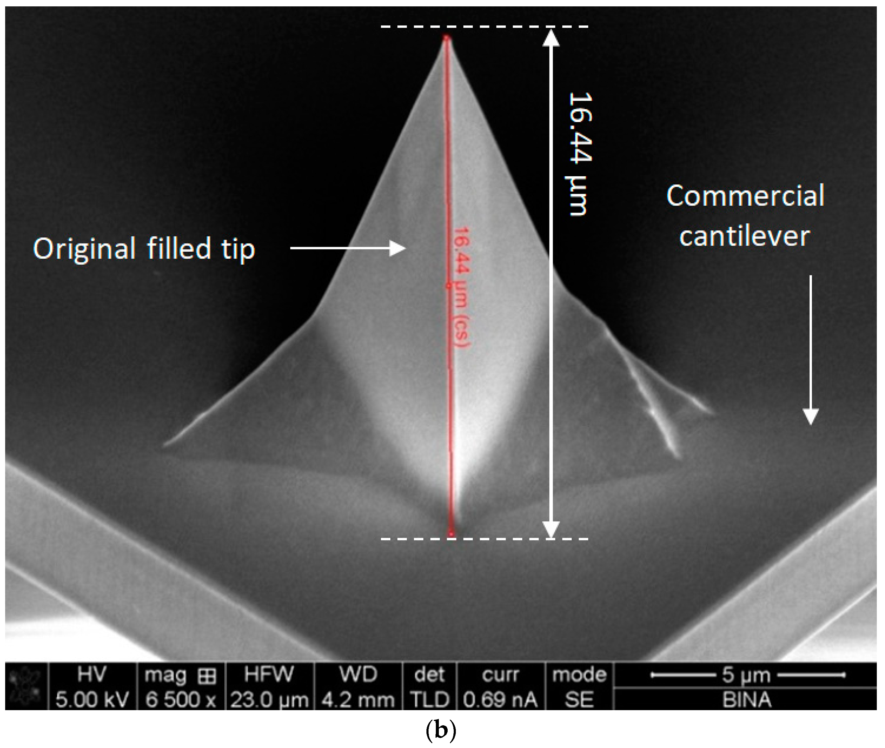 Nanomaterials 09 01792 g004b Nanomaterials 09 01792 g004b
